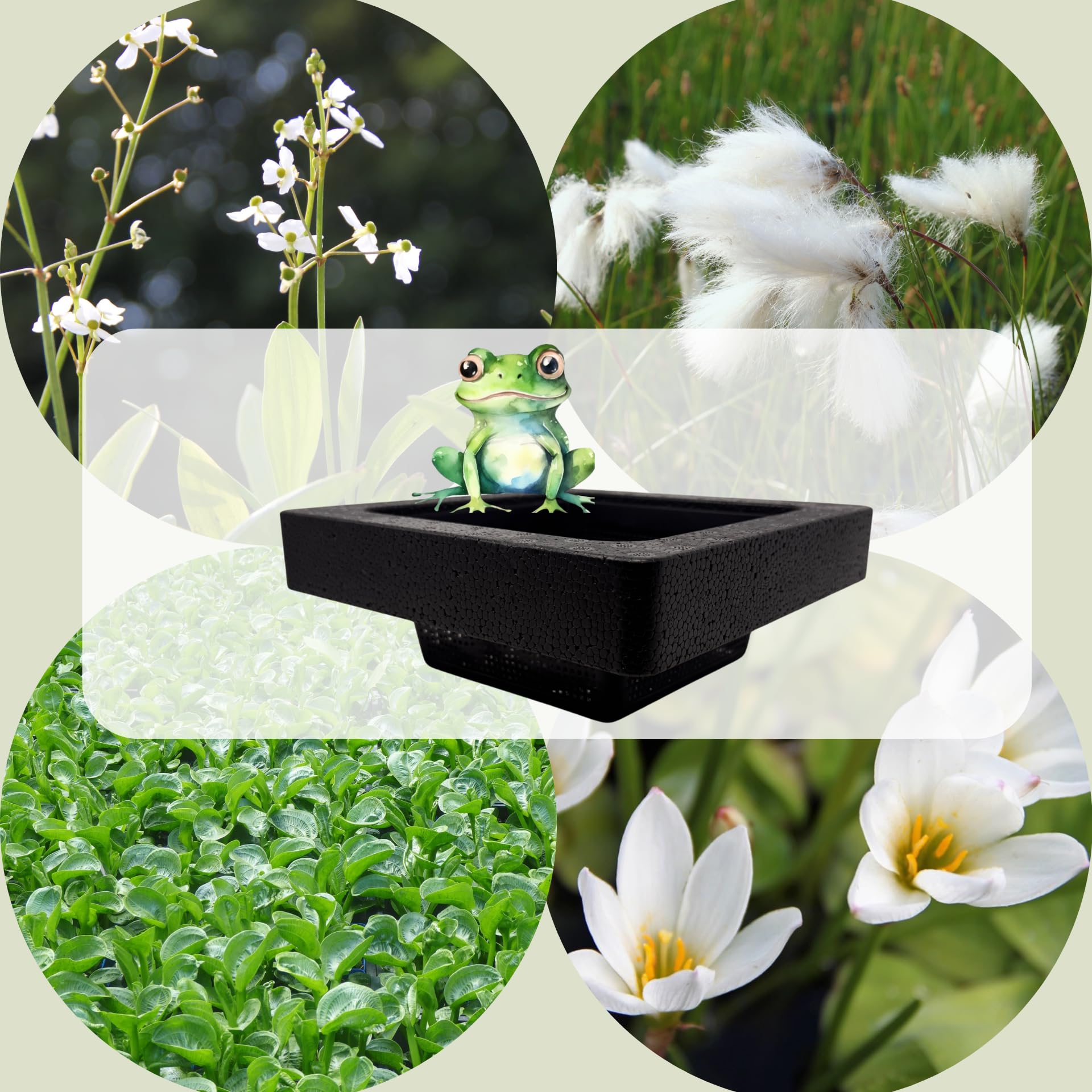 FROG-ISLAND weiß - SCHWIMMINSEL inklusive Pflanzen - REIHERSCHUTZ - 4er-Mix mit Pflanzinsel - QUALITÄTSSTAUDEN im Pflanzkorb - Frosch-Insel für Gartenteich