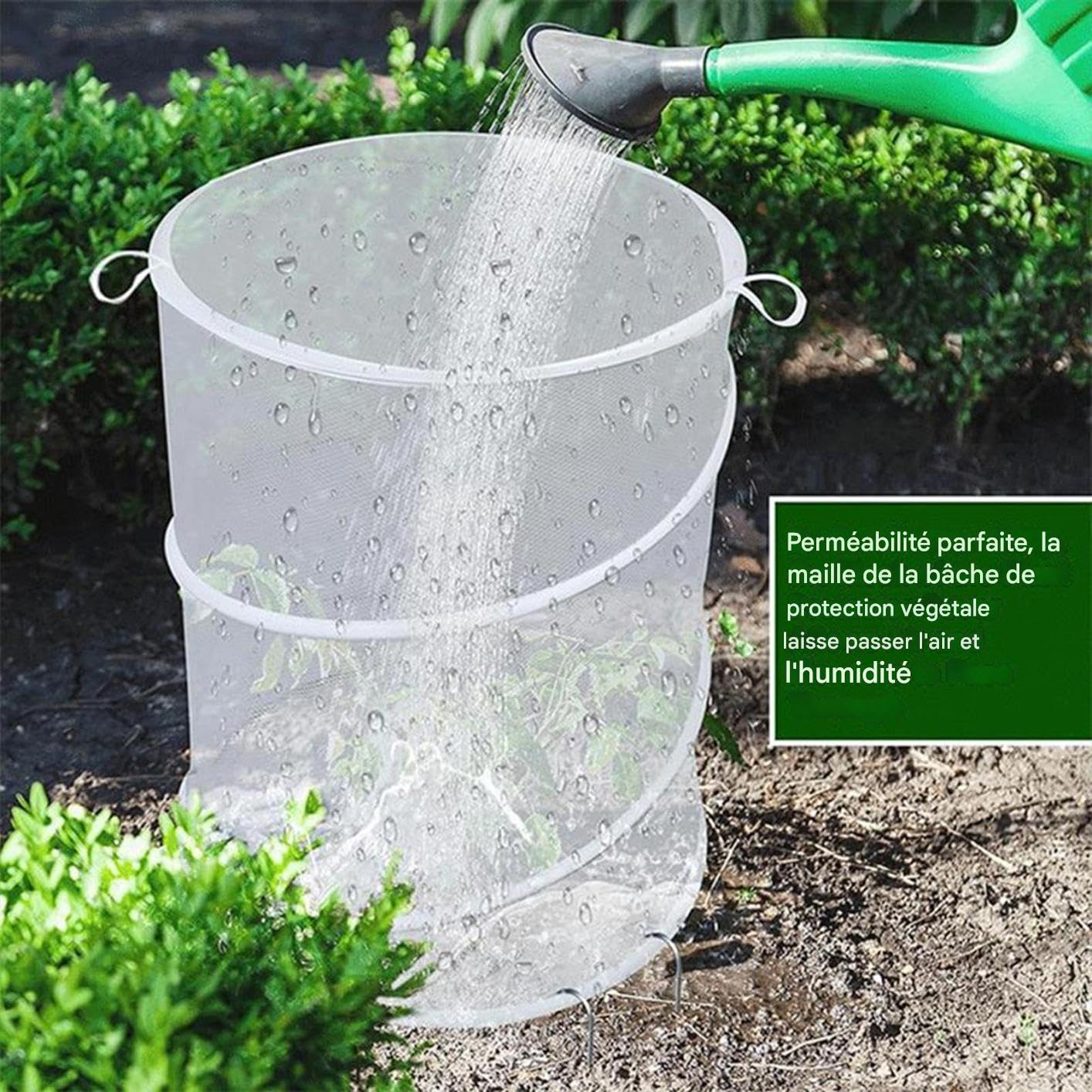 Protection Maillée Végétale | Enclos Maille Végétal Pop-Up - 4 Protections Pliables Anti-Insectes Et Oiseaux pour Myrtilles Légumes Fruits Fleurs