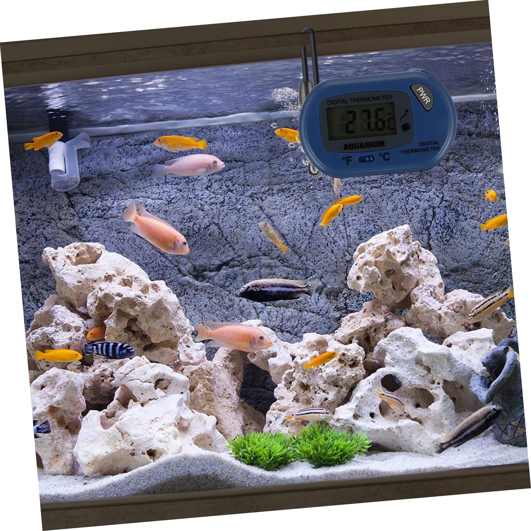 IWOWHERO Professional Sensor Mini Thermometer Waterproof for Fish Tanks and Aquariums Easy to Read Display