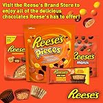 REESE'S Morceaux de bonbons en vrac au beurre d'arachide, 1.36kg – Colorful Crunchy Candy pour le cadeau de la Saint Valentin & Frappe
