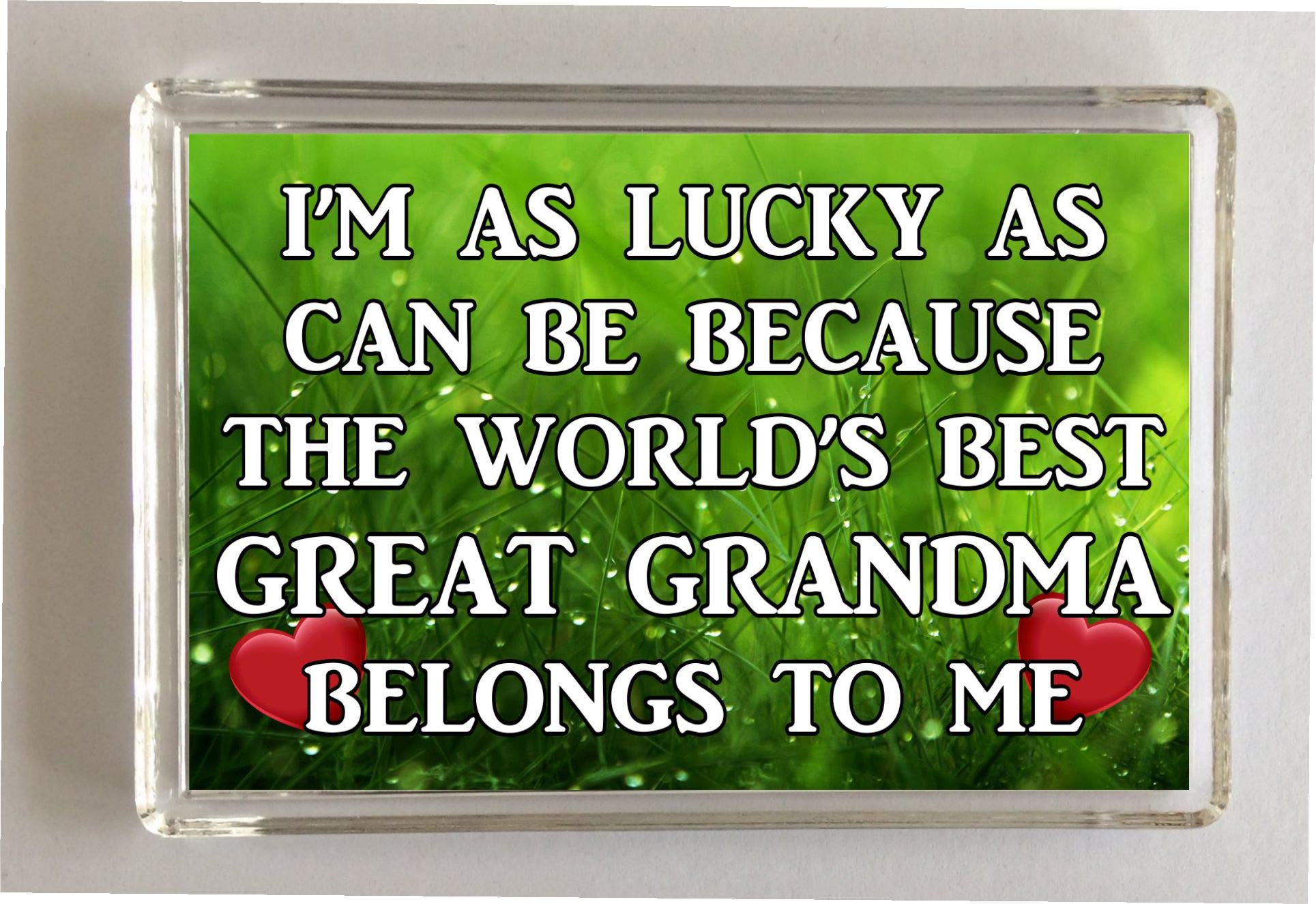 Decalarama Great Grandma Fridge Magnet - I'm As Lucky As Can Be The Worlds Best - Novelty Gift Present