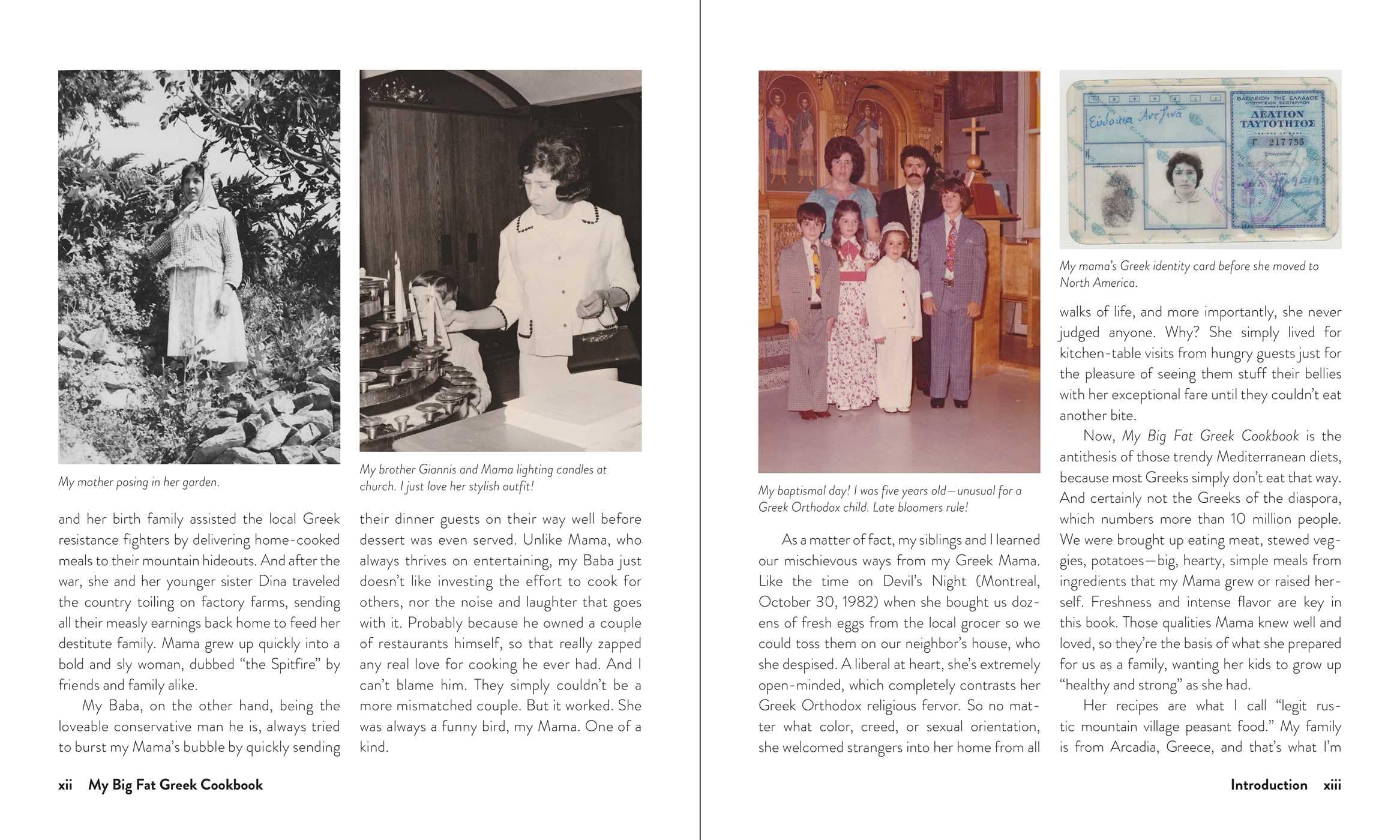 My Big Fat Greek Cookbook: Classic Mediterranean Soul Food Recipes