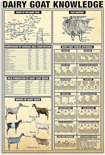 Carteles de metal de conocimiento de cabras lecheras de cabras lecheras, carteles de pastores, guías de estudio, placas de guía de estudio,