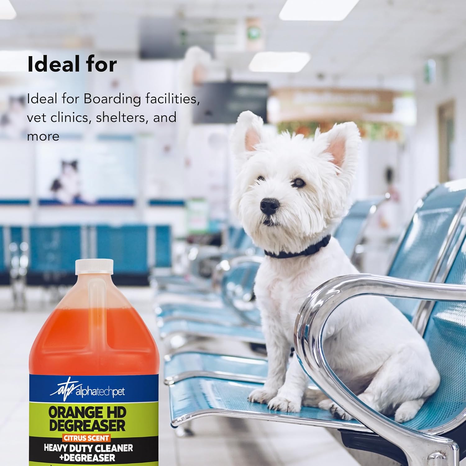 Orange HD Degreaser - Citrus Heavy Duty Degreaser and Cleaner for Tough Stains and Grease, Fast-Acting, Non-Corrosive Cleaner, 1 Gallon by Alpha Tech Pet