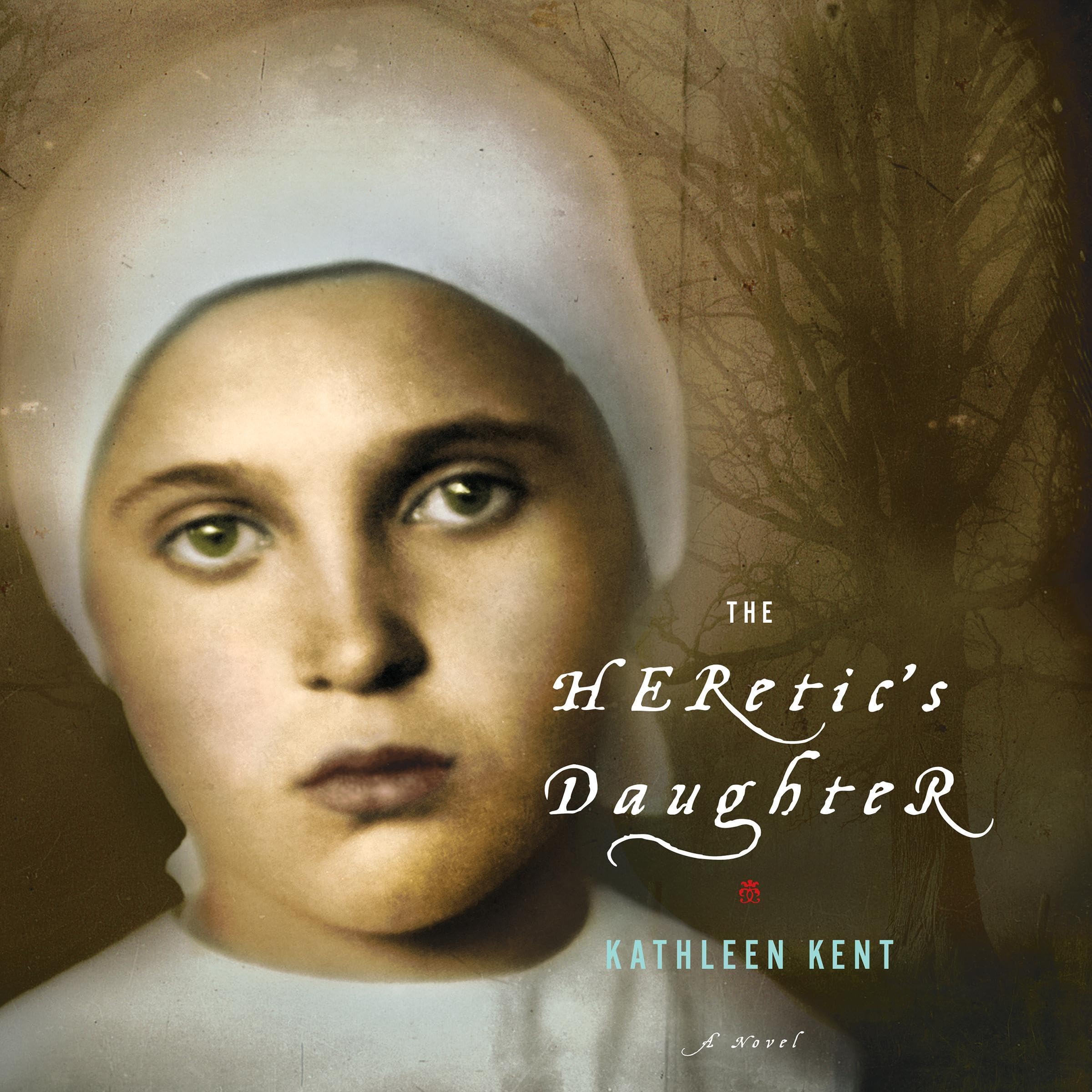 Cover art for The Heretic's Daughter