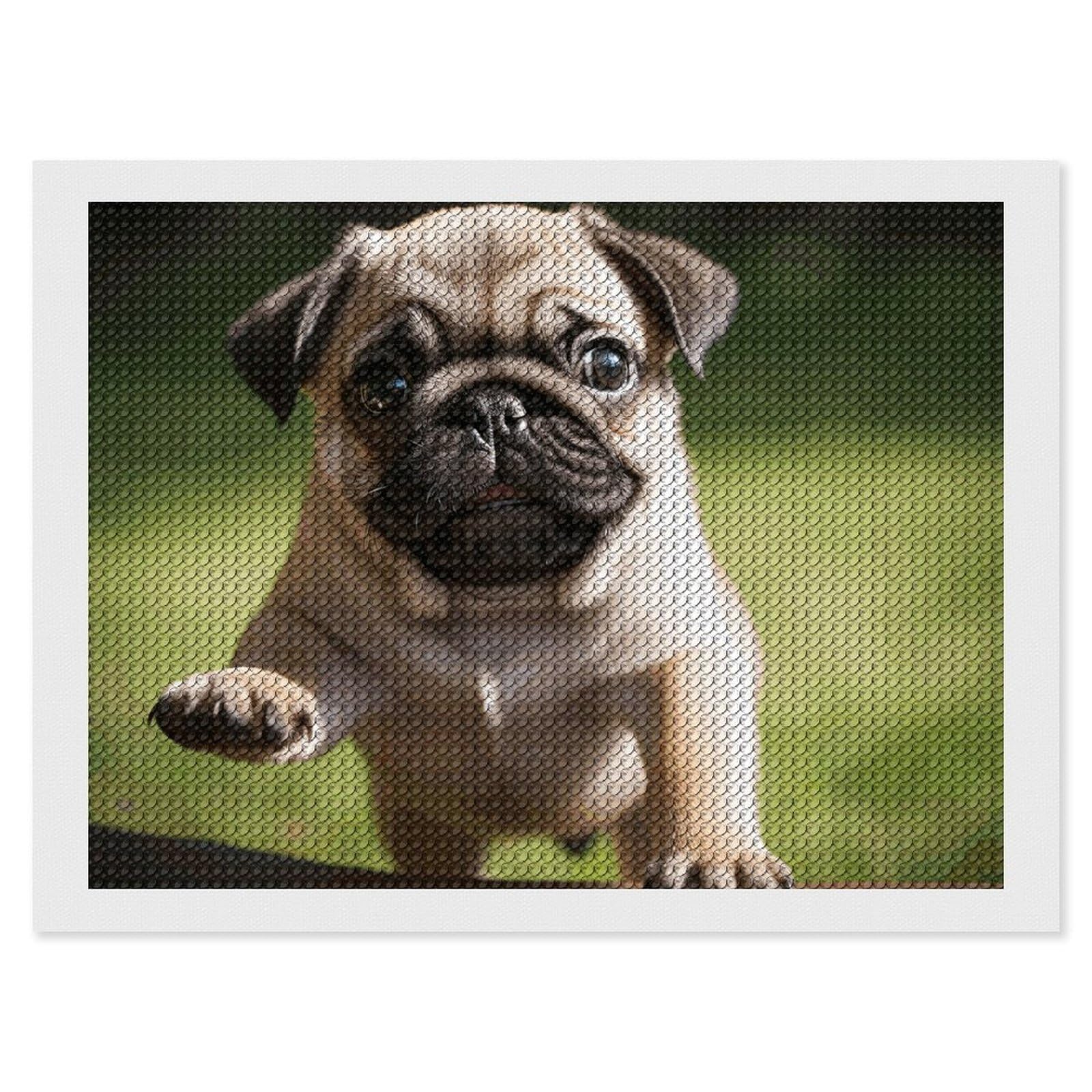 NONHAI Diamond Painting Kits for Adults - DIY Diamond Art Kits for Beginners - Full 5D Paint Drill Diamond Dots Paintings- Pug Puppies Diamonds Pictures Gem Art and Craft Wall Decor 12"x16"