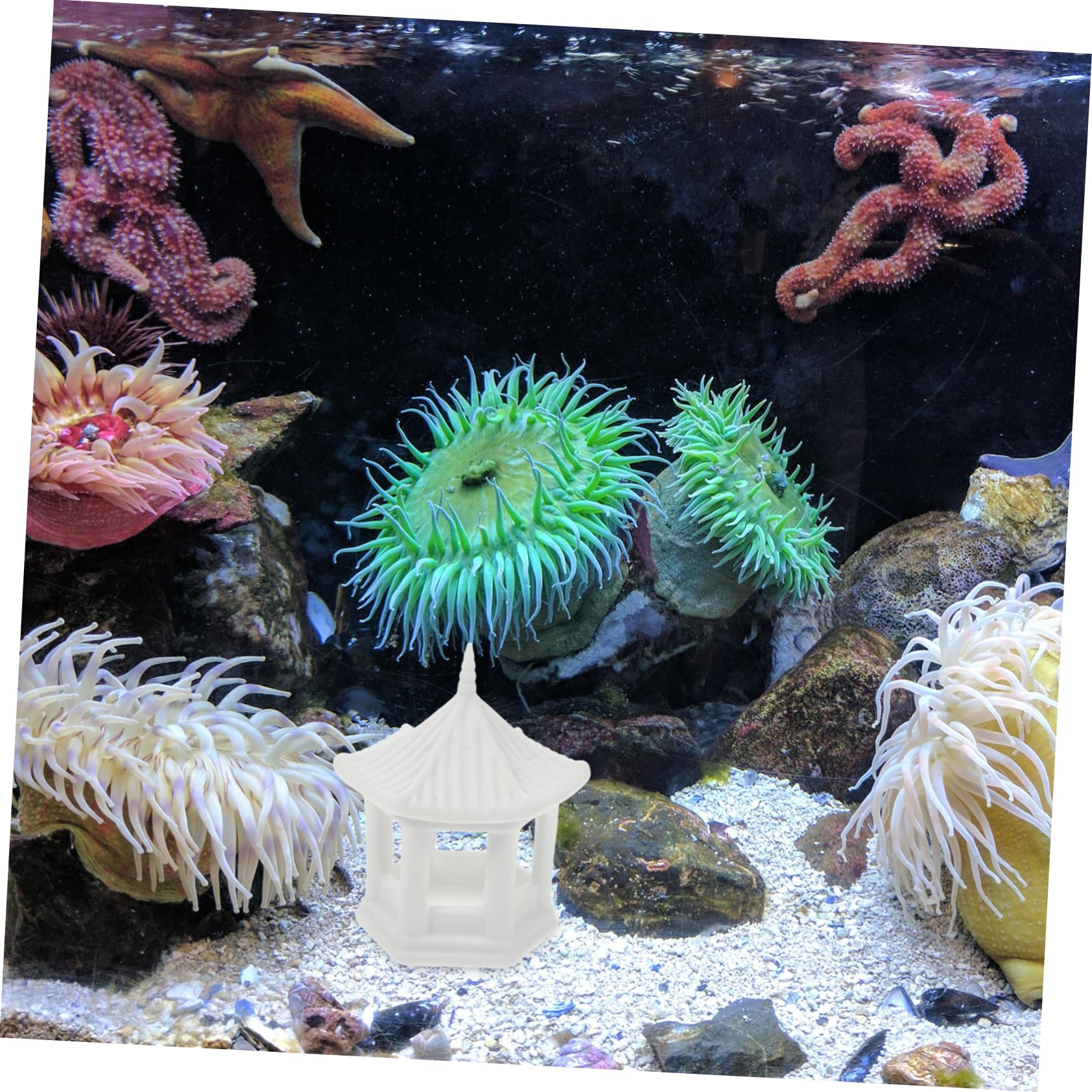 Mipcase 5 Pièces Ornements De Belvédère Hexagonaux Plantes D'aquarium en Soie Décorations Décor De Réservoir Axolotl Pavillon De Jardin Mini Pavillon Aquarium Étang Céramique Blanche