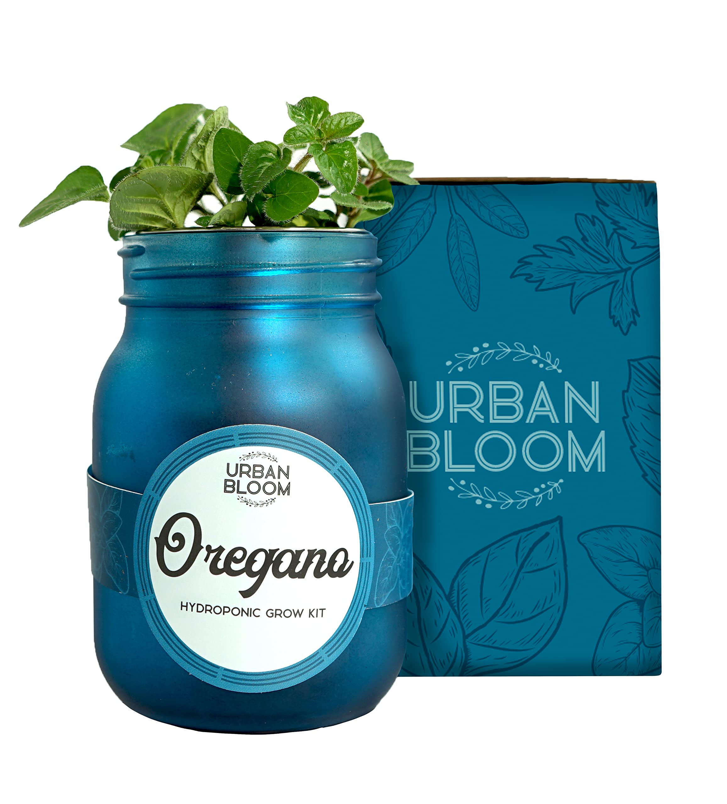 Hydroponic Herb Growing Kits - Fresh Oregano - Indoor Garden System in a Mason Jar - Herb Garden Kit for an Indoor Greenhouse - Indoor Plant Hydroponic Growing System w/Fresh Herb Seeds