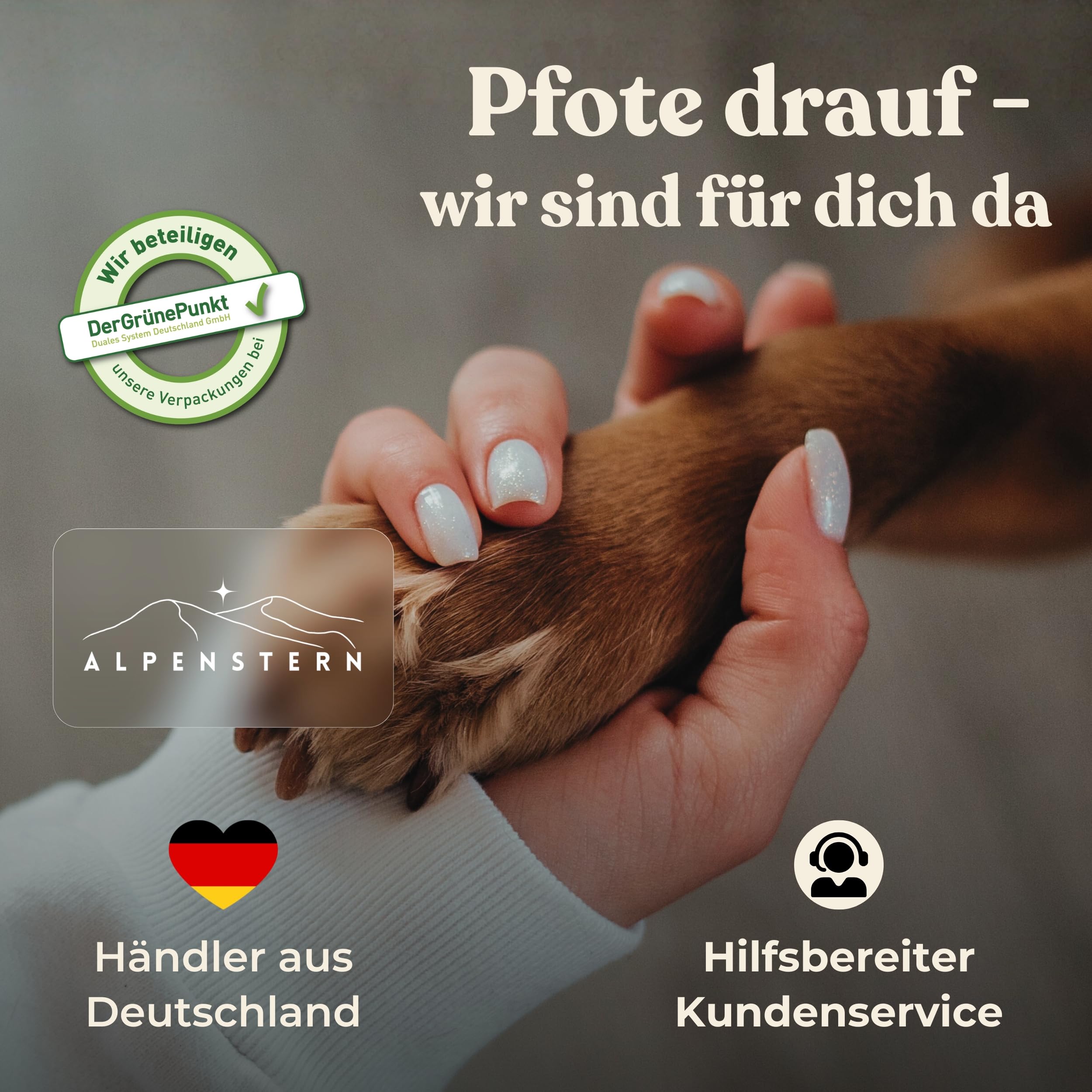 Profi Pfotentrimmer für Hunde und Katzen - Hundepfoten Trimmer leise Schermaschine Hundeschermaschine Rasierer für Augen, Ohren, Fell - starker Motor und Akku - mit USB-C