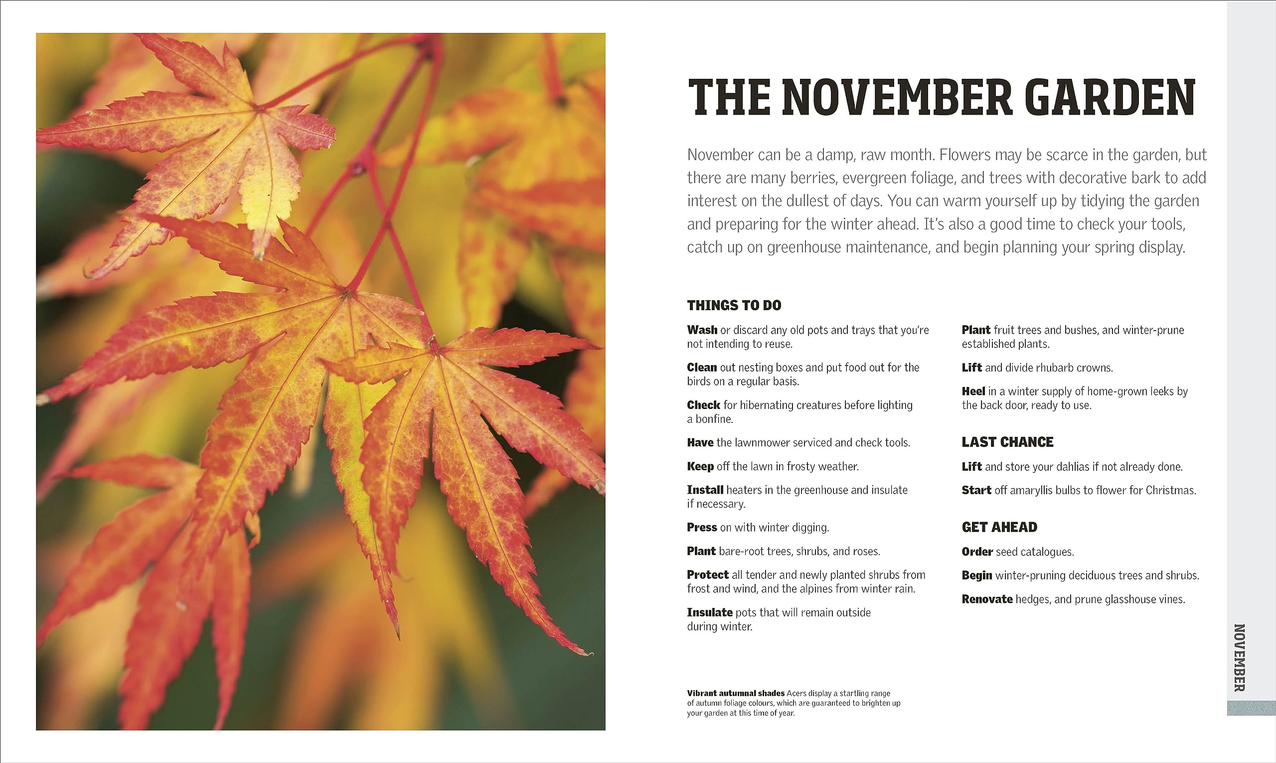 RHS Gardening Through the Year: New Edition - Month-by-month Planning Instructions and Inspiration