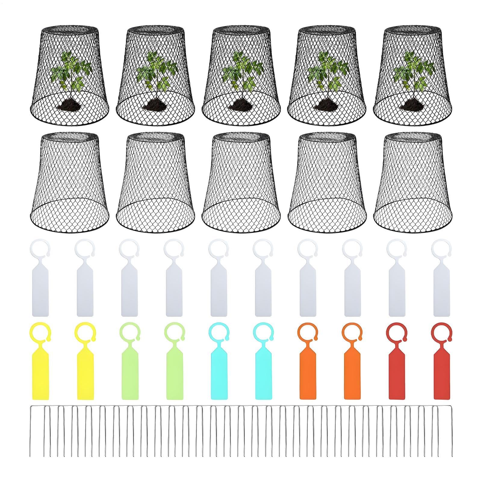 Cloche métallique pour petites plantes : cage de protection anti-lapins (lot de 10)