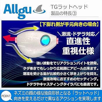 激安‼︎匿名配送タングステン タイラバ 260g 310g 送料込み 目あり無垢 激安‼︎匿名配送タングステン タイラバ 260g 310g 送料込み 目