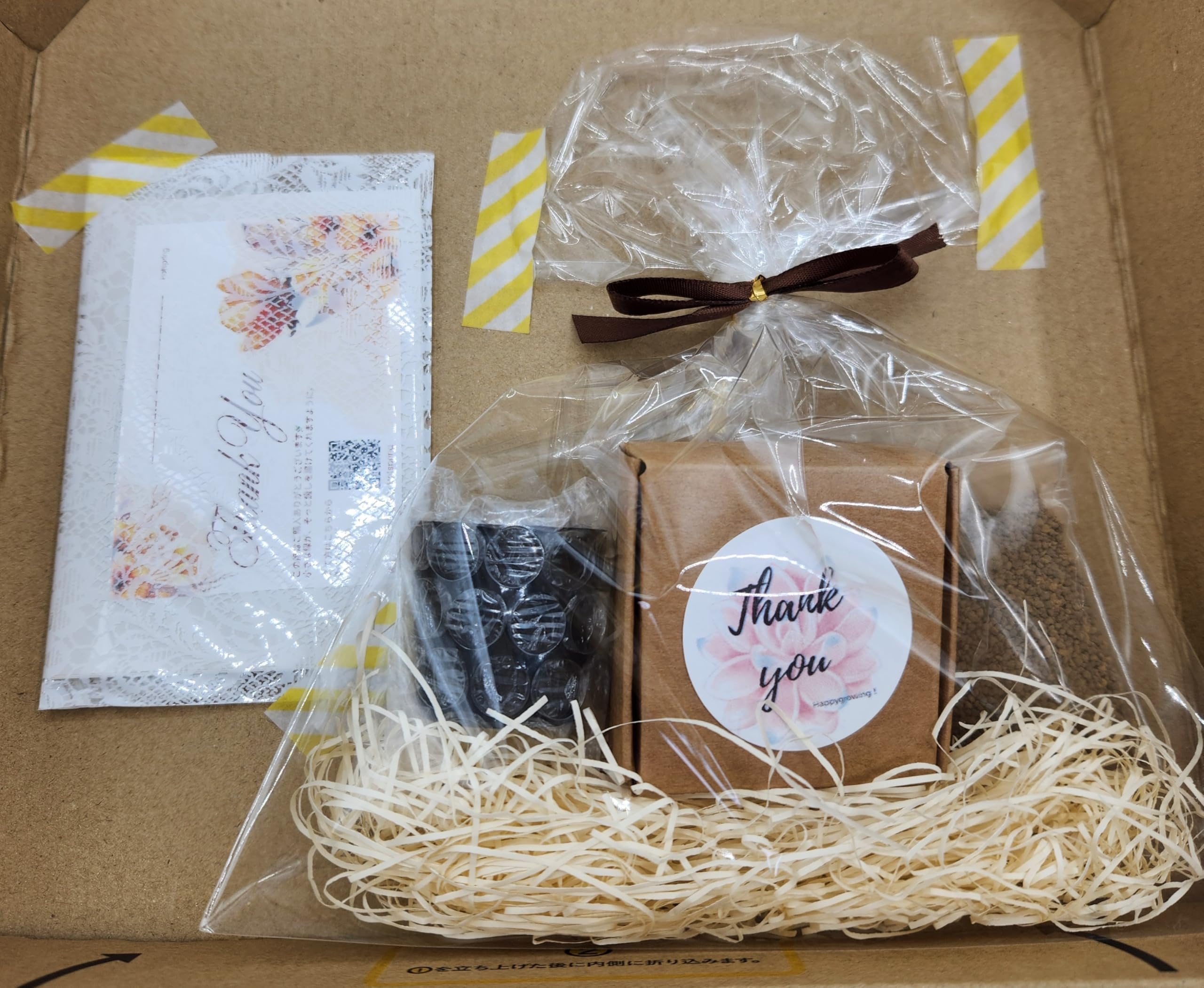 Amazon｜【初心者向け】コノフィツム・ブルゲリ 実生苗 1号鉢 育て方