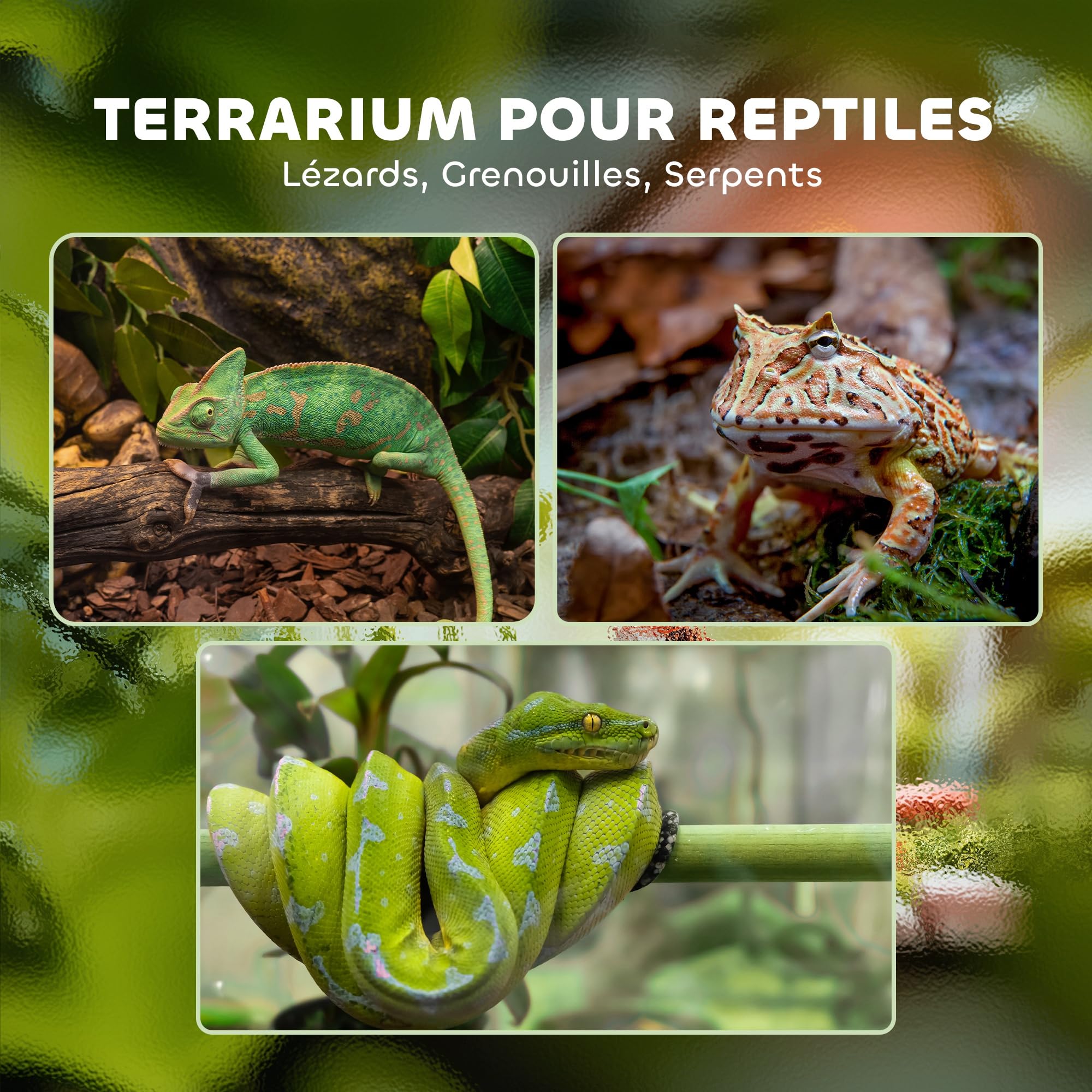 PawHut Terrarium en Verre pour Reptiles Vivarium 12 L d'élevage de Reptiles avec Couvercle en Treillis métallique, pour Grenouilles, Serpents, Tortues, 20 x 20 x 30 cm, Noir