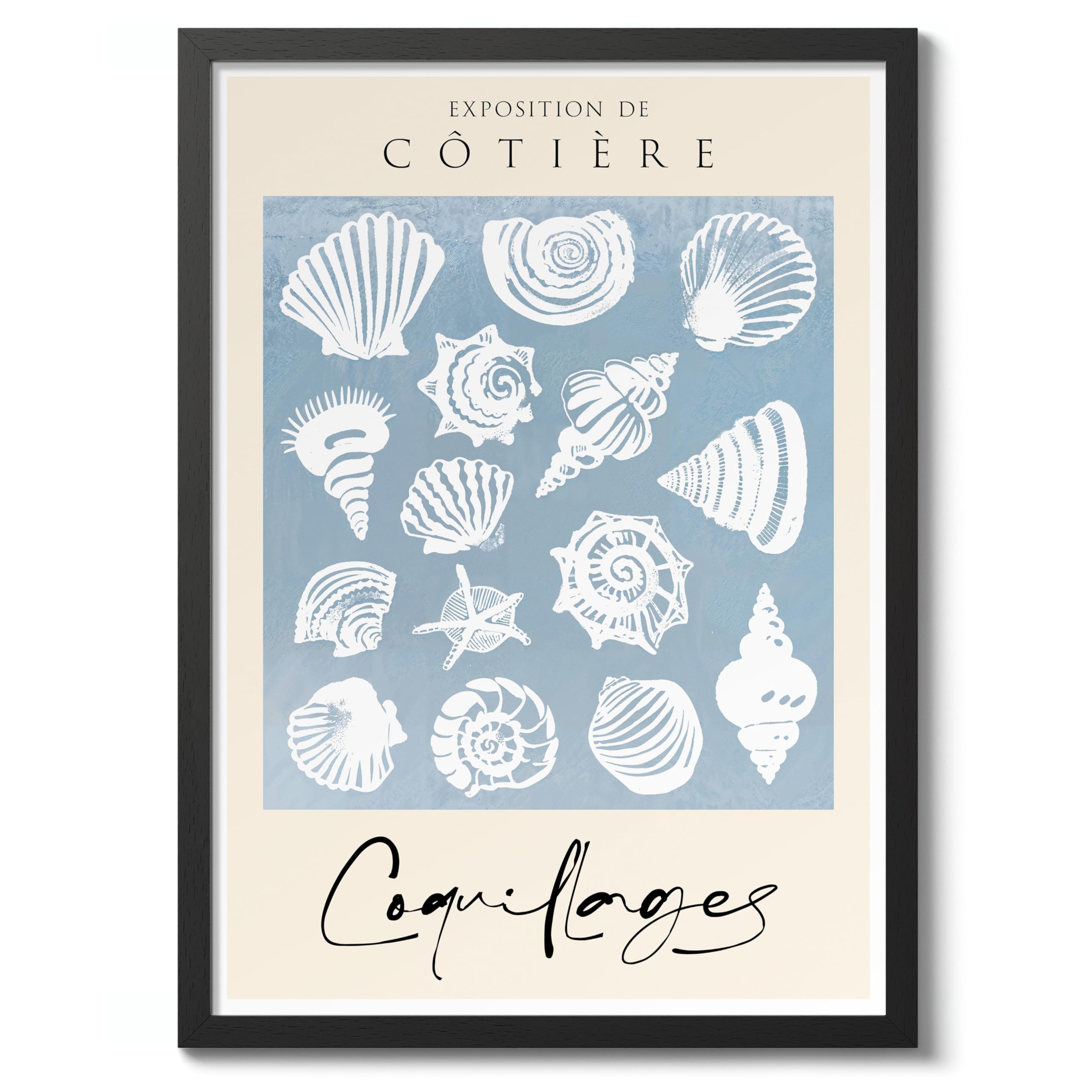 Sea Shells Nautical Exhibition Art Print, Vintage Botanical Prints, Retro Sealife Oceanography Illustration Wall Art Pictures, Nature Bathroom Home Decor, A4 (Black Frame) - 32.7x24.1cm