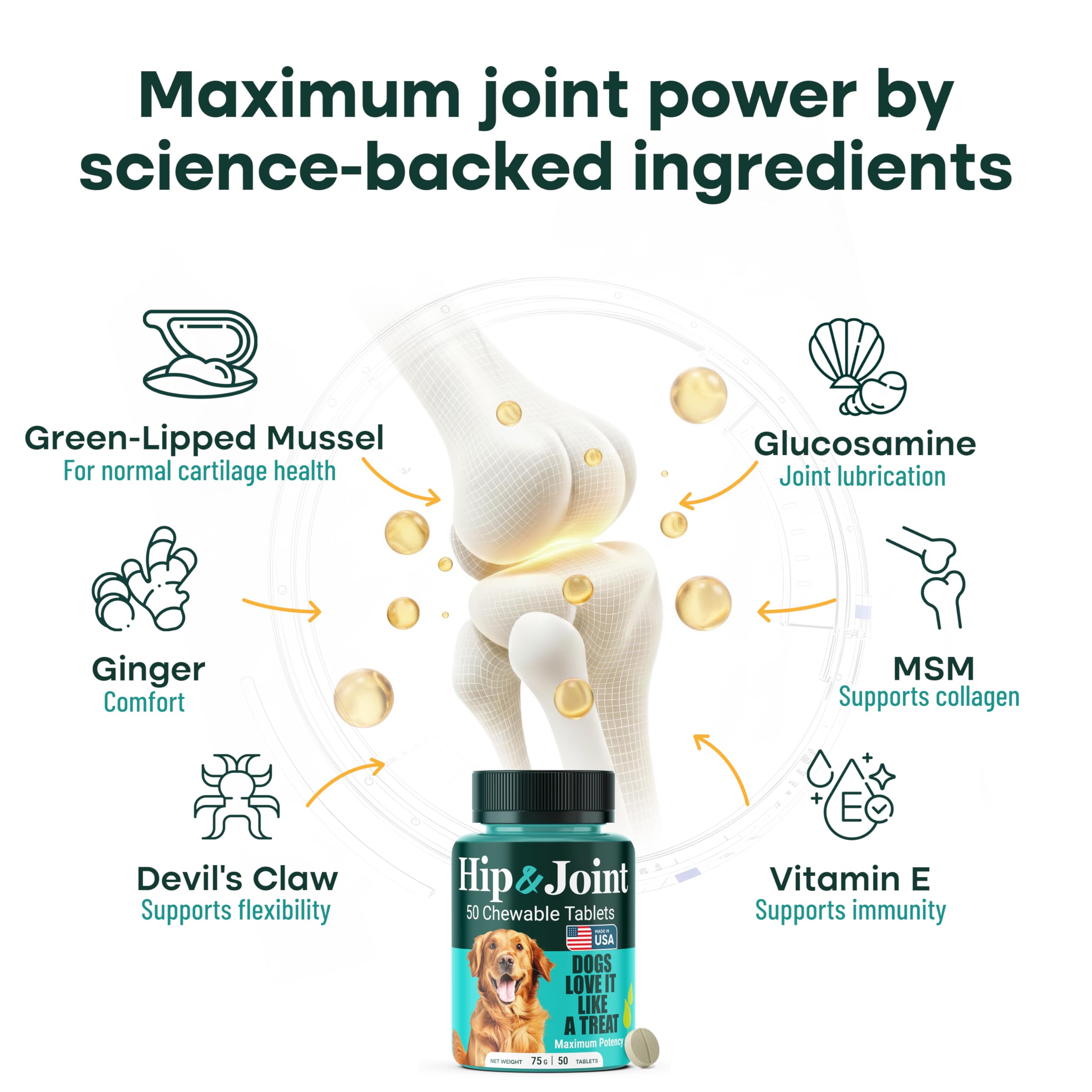 Natureflow Hip & Joint Supplement for Dogs, 300mg Green-Lipped Mussel for Dog Arthritis Pain Relief, Glucosamine, MSM & Chondroitin, Zero Sugar, Large Medium Small Breeds, 200 Chewable Tablets - image 4