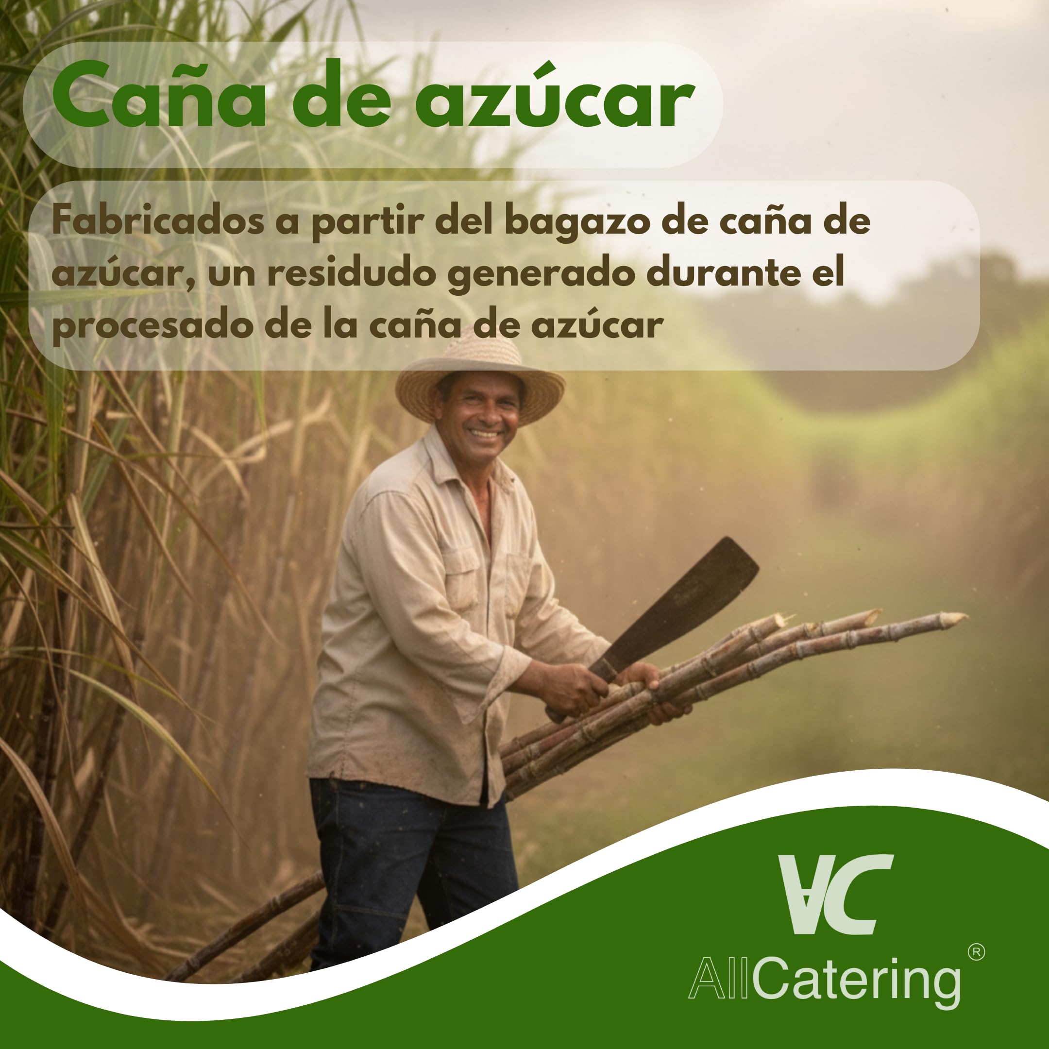 500 Platos Desechables de Caña de azúcar Redondos de 26 cm. Ecológicos, Biodegradables y Resistentes para Picnics, Barbacoas, Fiestas y Cumpleaños. 500 Platos