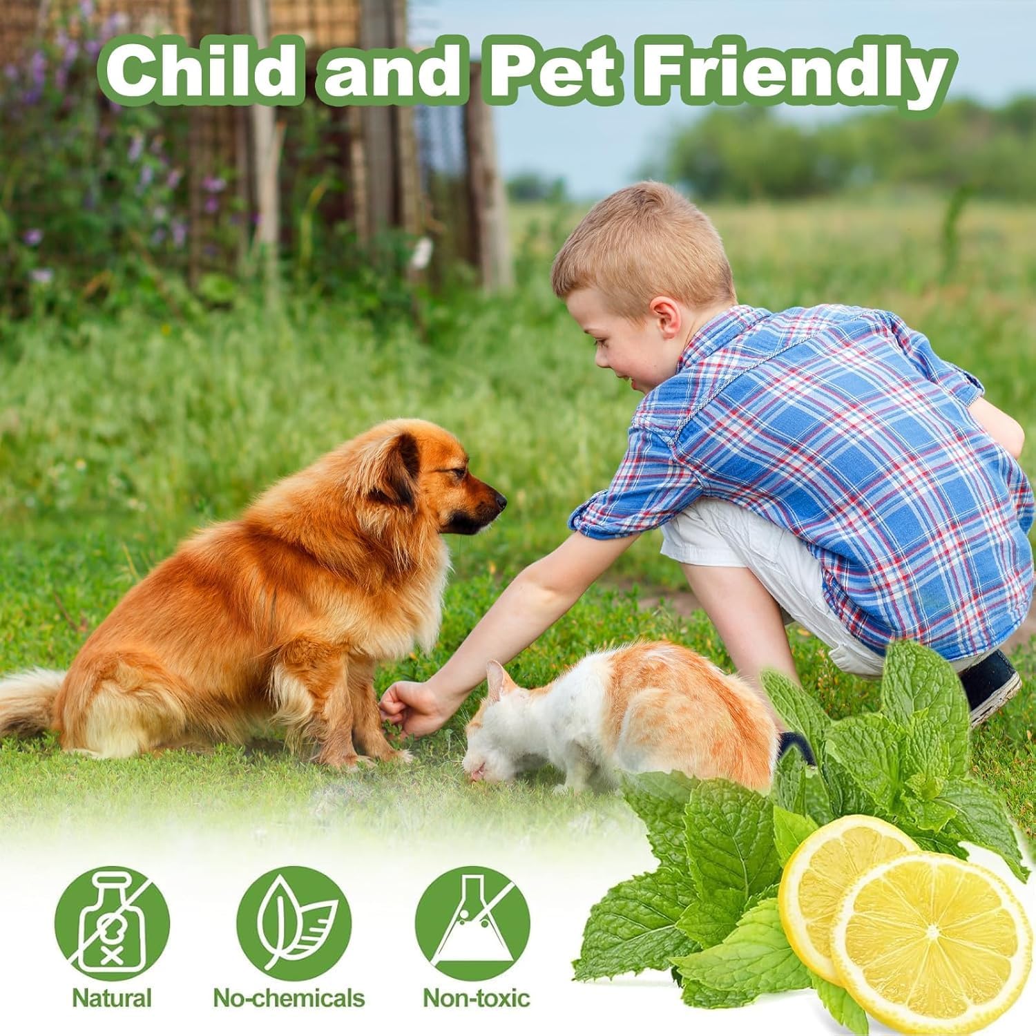 VRUSTEE Cat and Dog Repellent Spray for Home & Garden | Natural Peppermint Oil Pet Deterrent to Prev 3
