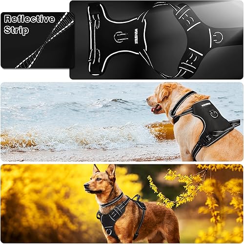 Miniatura 3 de WINSEE Dog/Pet Harnesses No Pull with Dog Collar, Adjustable Reflective Oxford Outdoor Vest, Front/Back Leash Clips for Small, Medium, Large, Extra