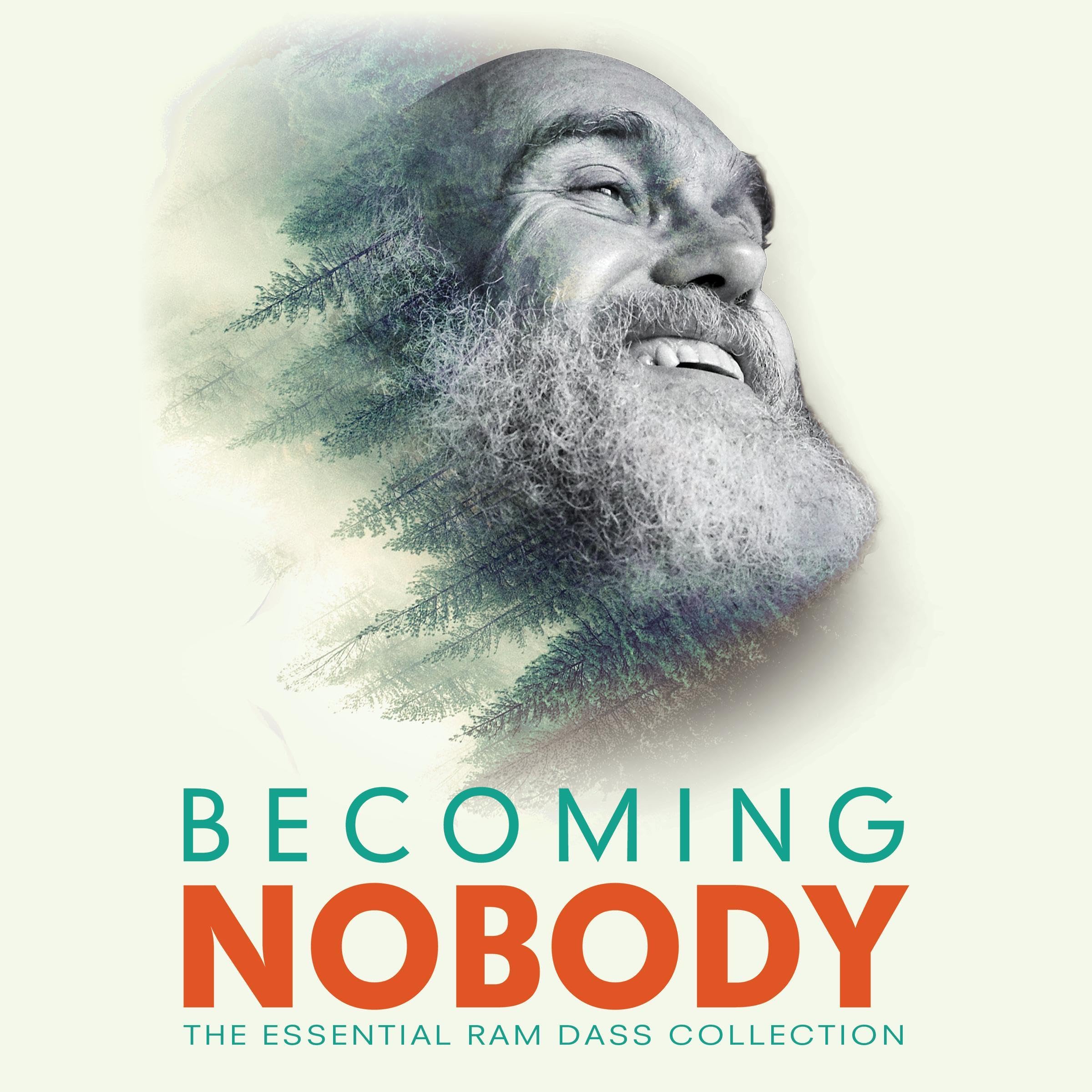 Cover art for Becoming Nobody