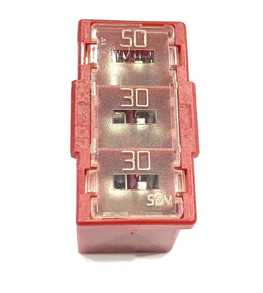 伸芽会 赤本 4954391103283-2.jpg