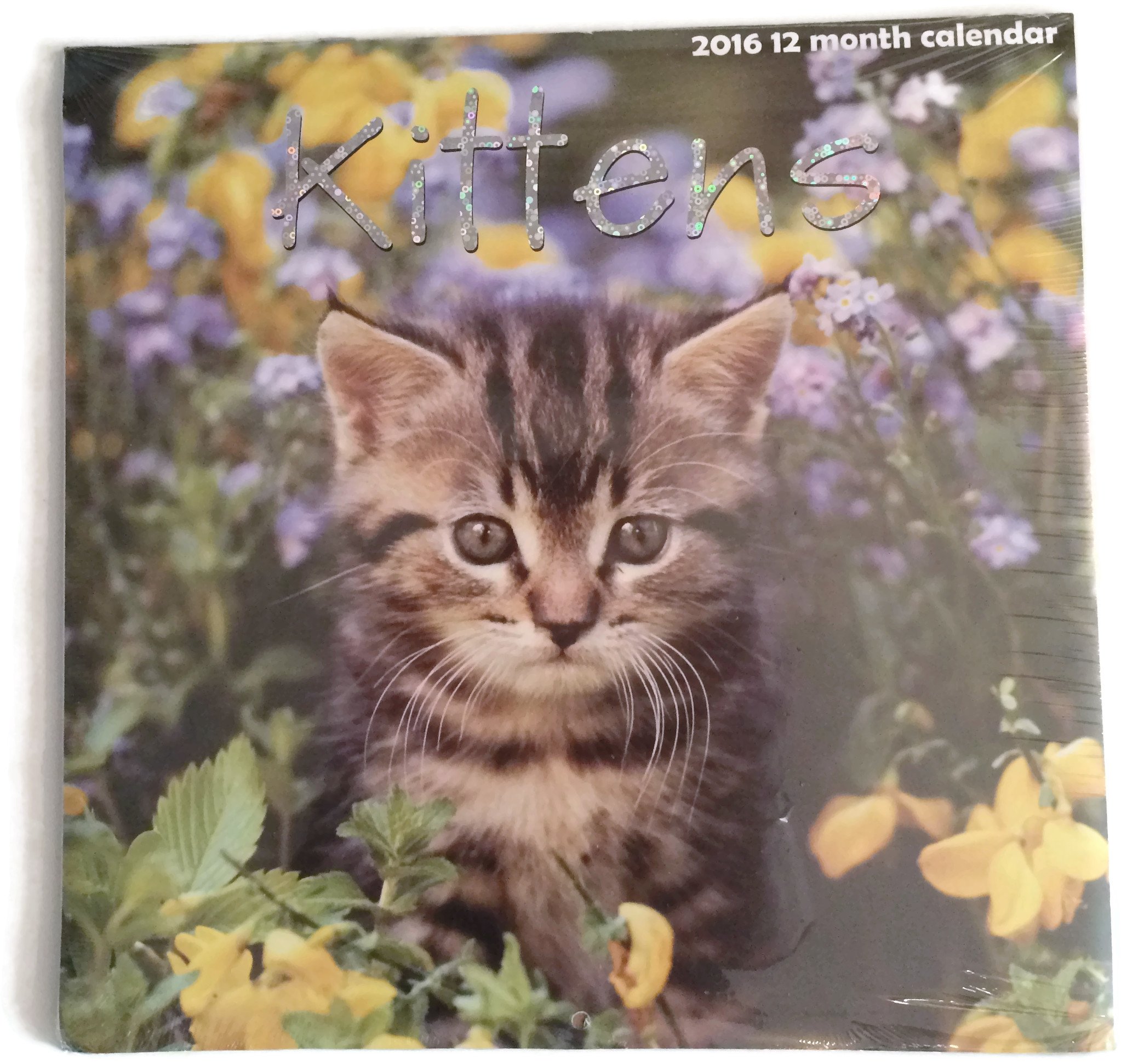 Kittens 2016 12 Month Calendar