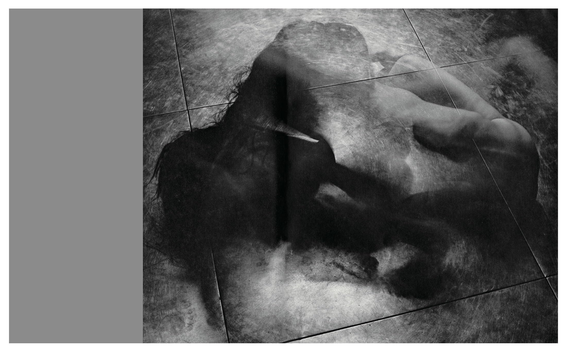 Masahisa Fukase - Homo Ludens