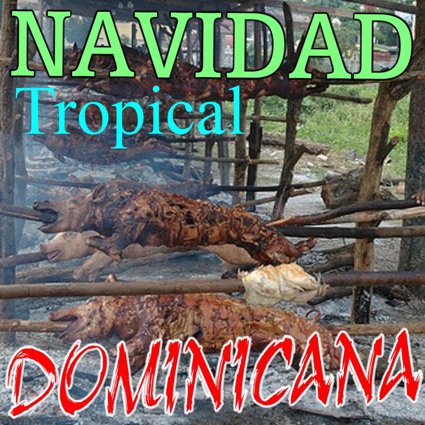 Navidad Tropical Dominicana