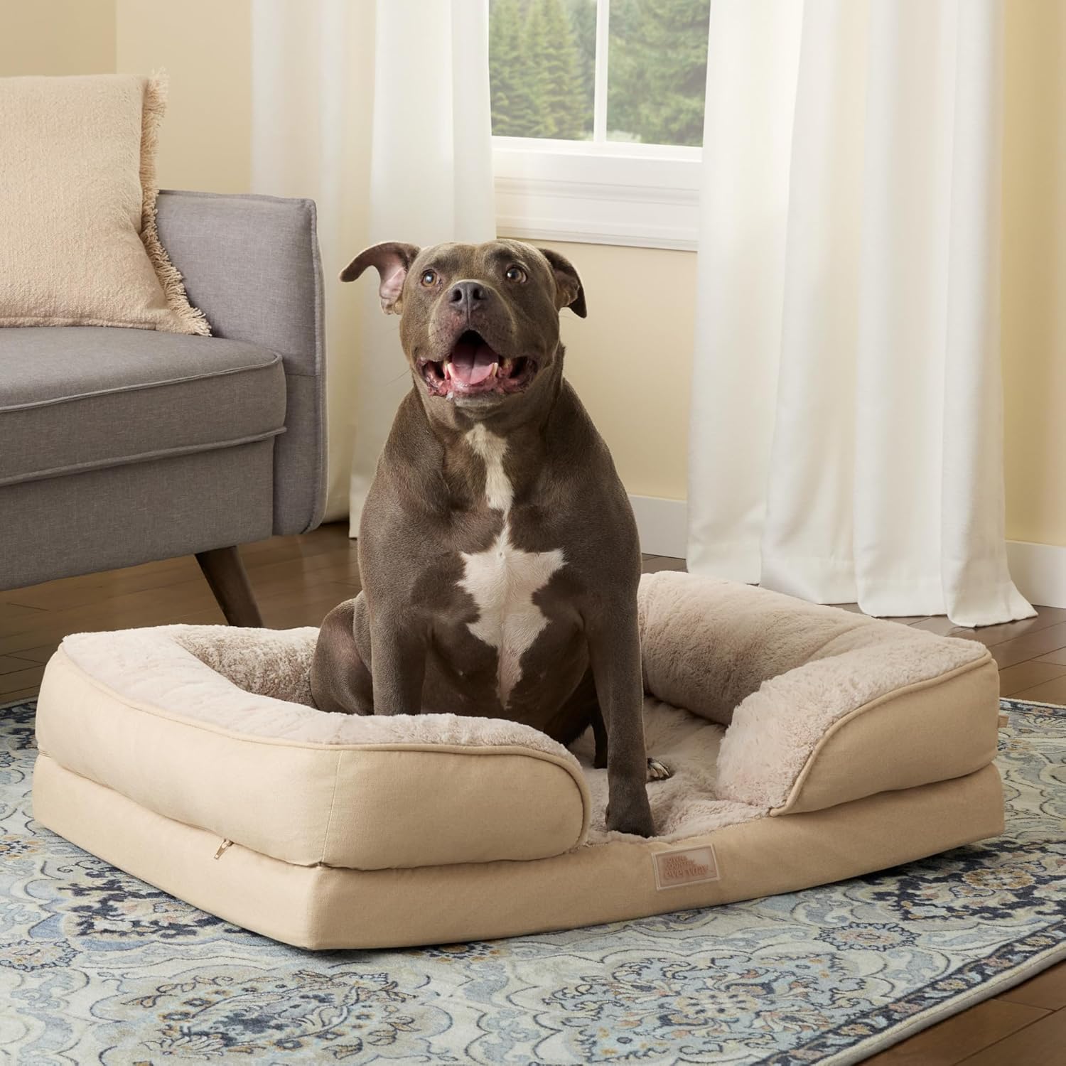 Ultimate Comfort: TOWN & COUNTRY EVERYDAY CuddleTown Pet Bed Review