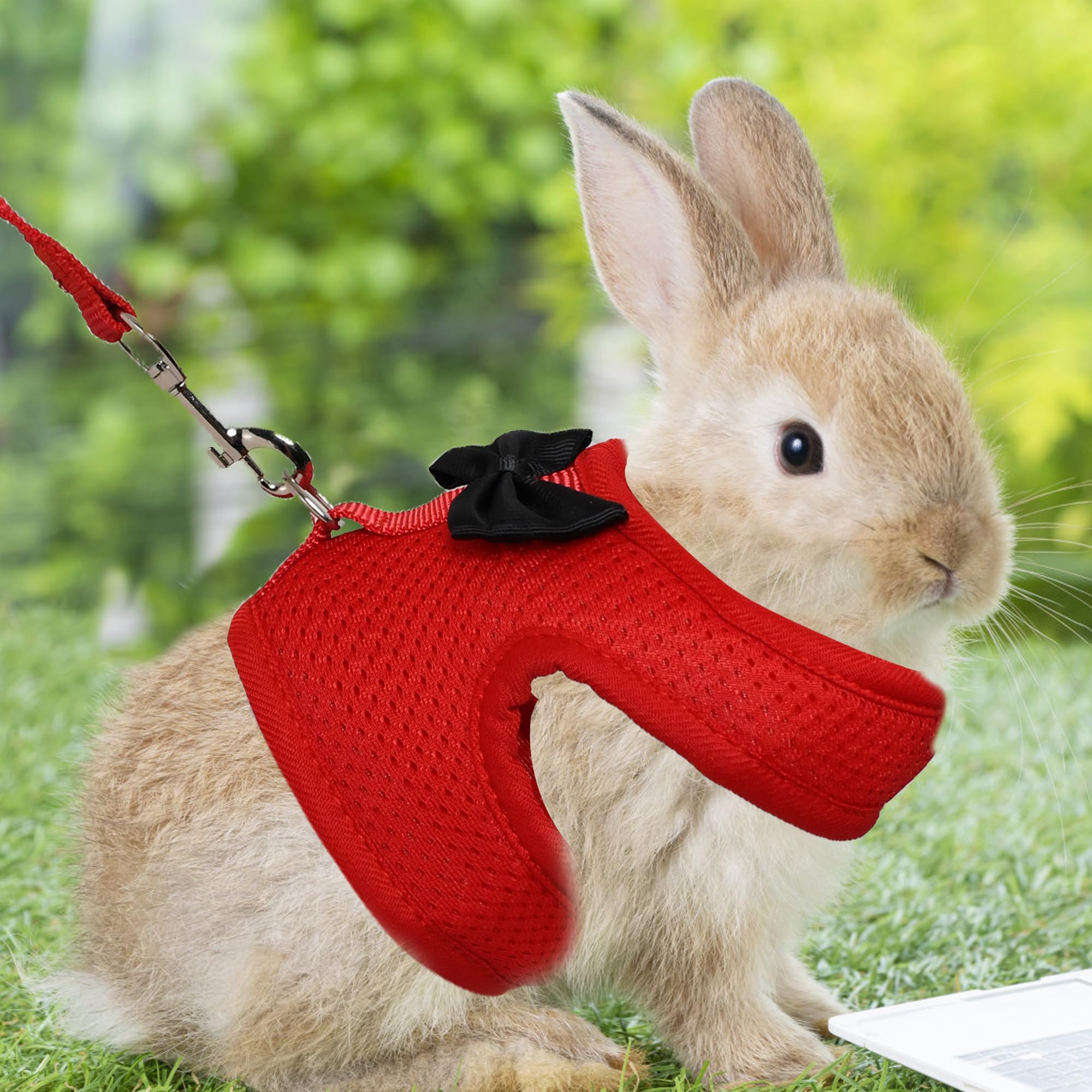 AIITLE Cat Harness and Leash Set including Cute Bow - Image 3