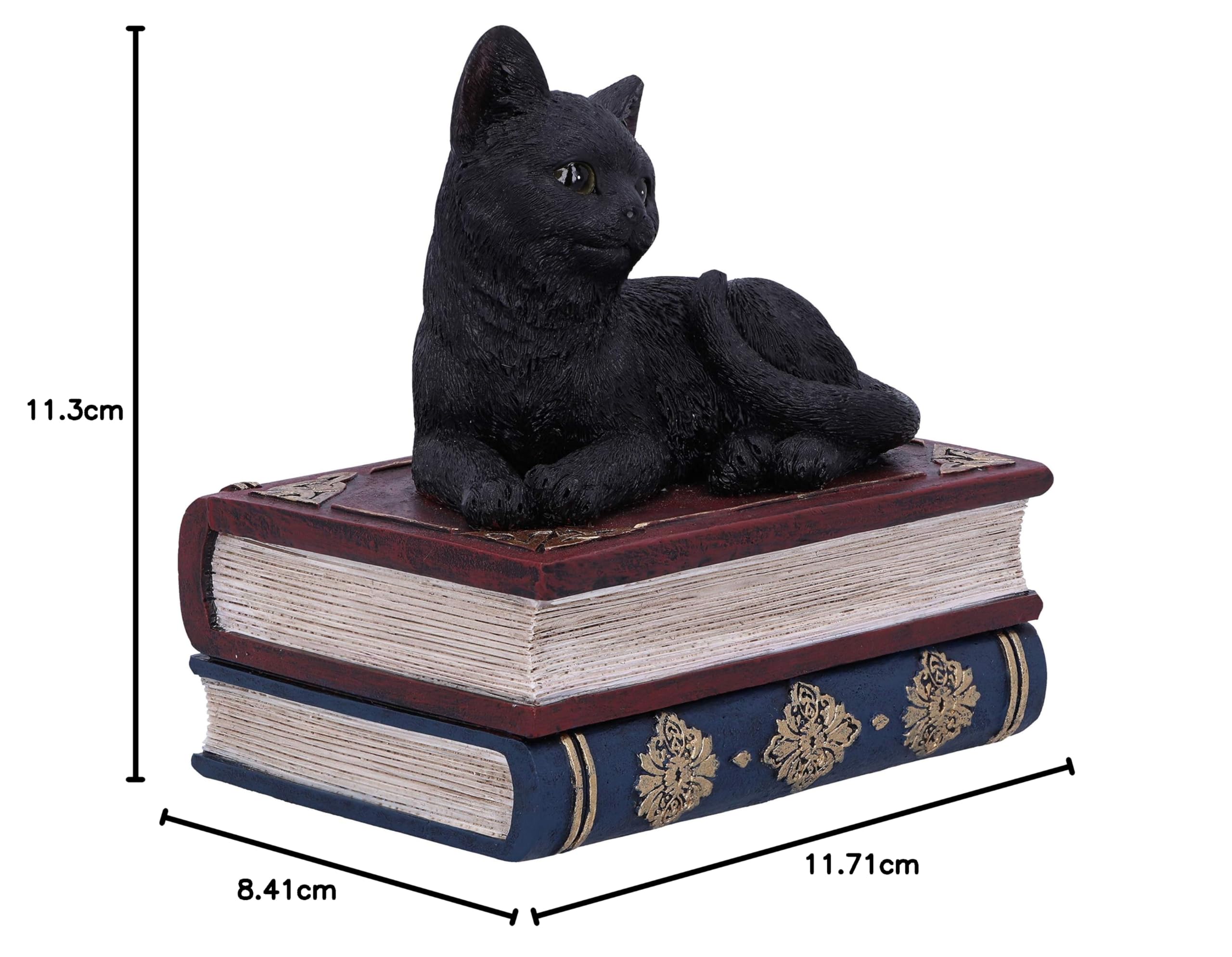 Nemesis Now Salems czarownice znane czarny kot i pudełko z księgą zaklęć, 11,7 cm