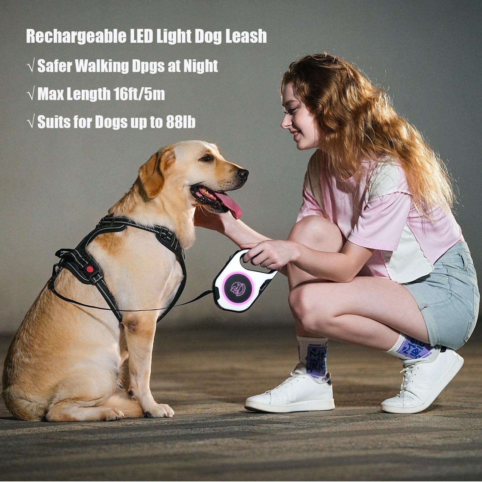 https://m.media-amazon.com/images/I/81qh9bWgUuL.jpg