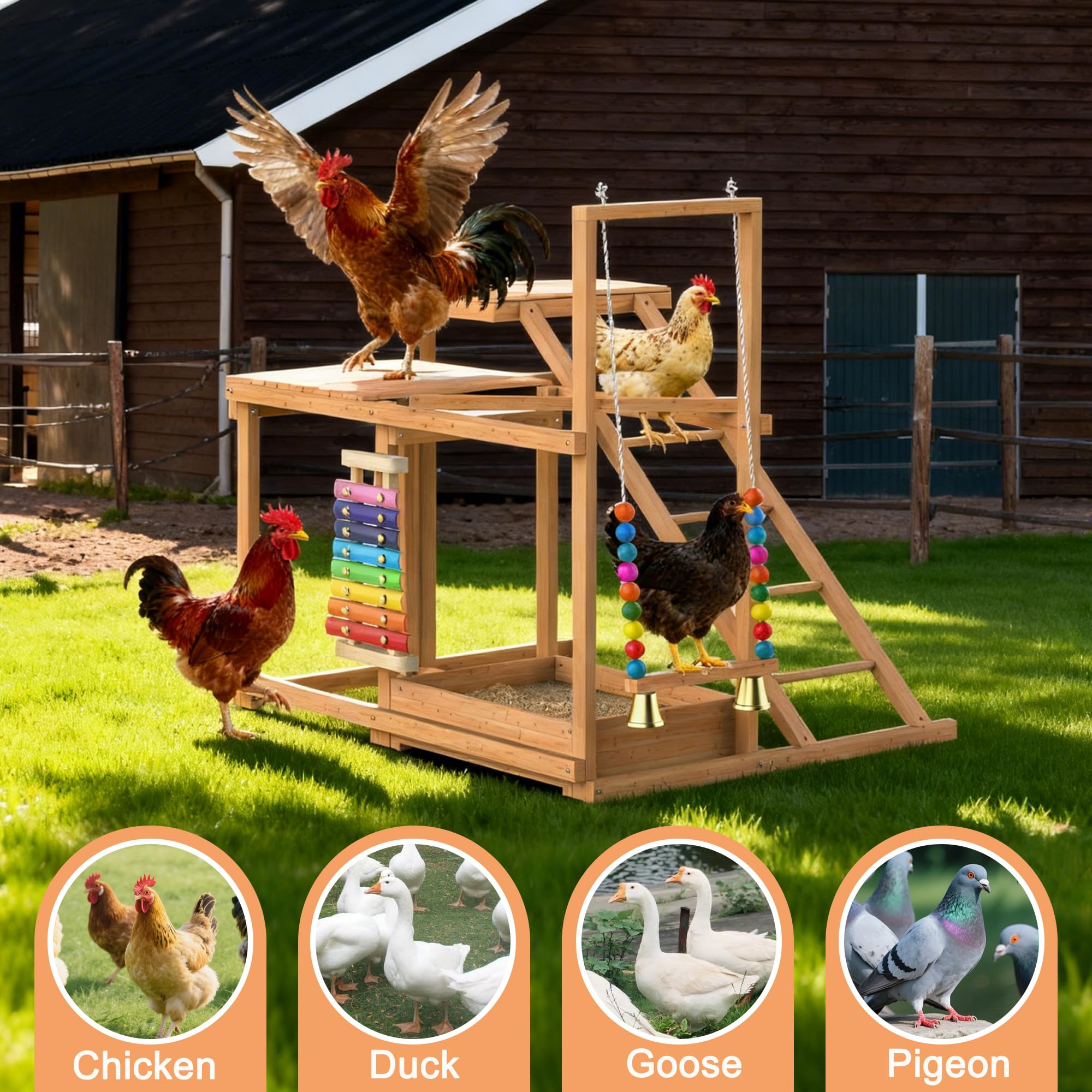 Juego de actividades de pollo, múltiples perchas de pollo con juguete de columpio, accesorio de gallinero de madera con escalera y plataformas y almacenamiento de alimentos, juguete para pájaros al