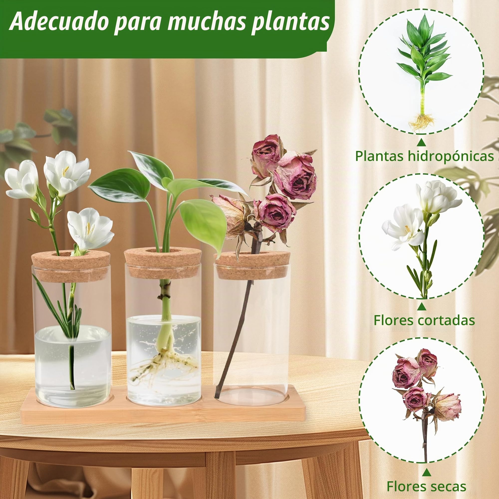 Estación de Propagación de Plantas Jarrón de Cristal para Plantas con Corcho Base de Madera 3 Piezas para Plantas de Hidrocultivo