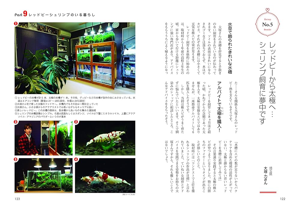 レッド　ビー　シュリンプ 10冊セット 送料無料!!＞レッドビーシュリンプ 10匹 繁殖セット : 姫