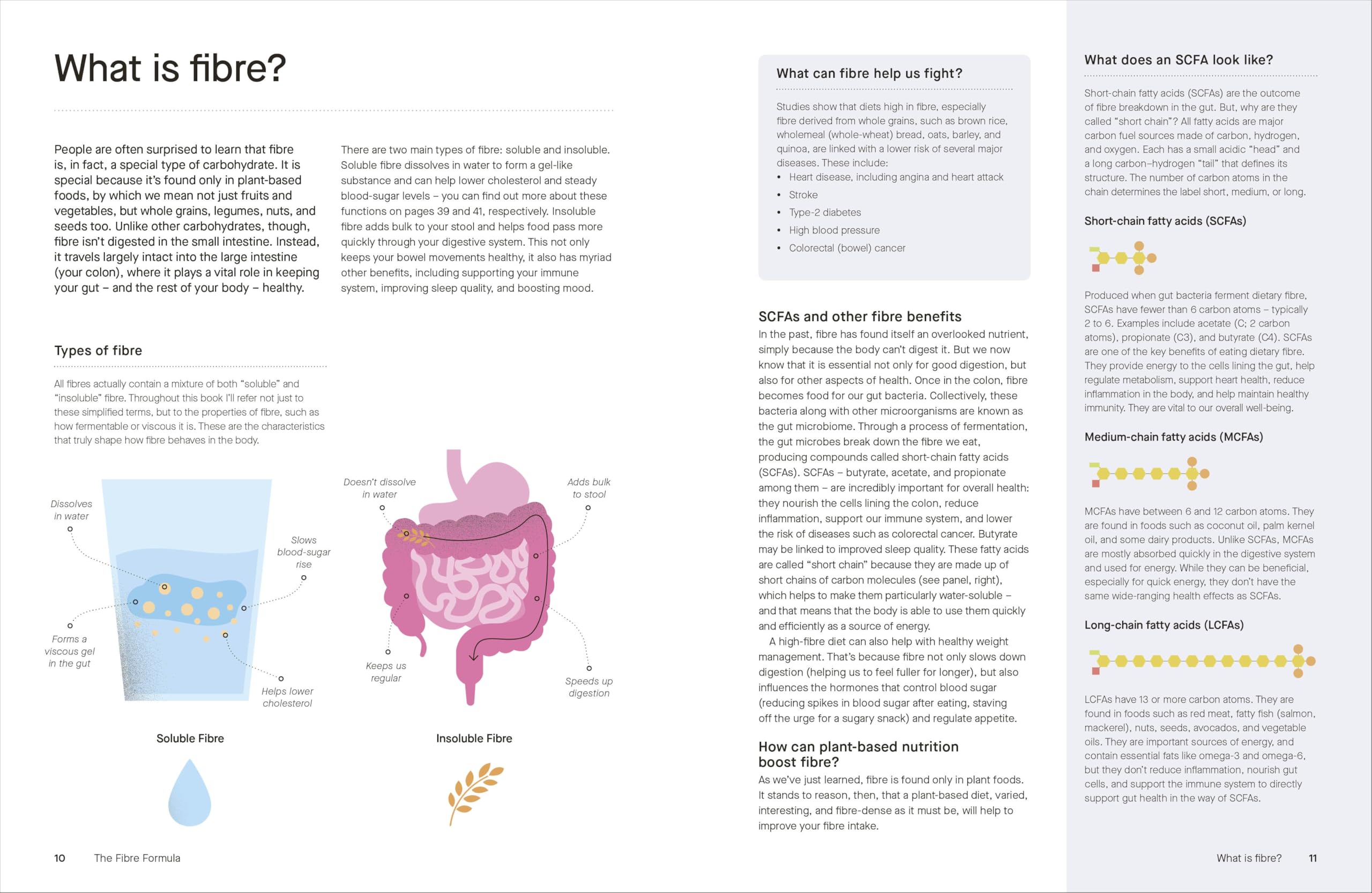 The Fibre Formula: Feed Your Gut, Support Immunity & Live Well for Longer