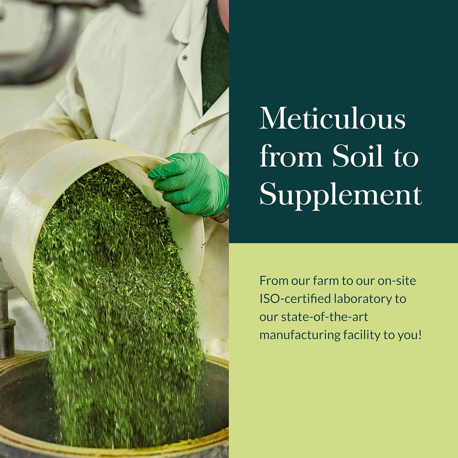 Gaia Herbs Everyday Immune Mushrooms&Herbs-Immune Support Supplement to Help Aid Overall Wellness* -with Turmeric Curcumin, Astragalus, Cordyceps, and Chaga Mushrooms-60 Vegan Capsules(30-Day Supply) - Image 8
