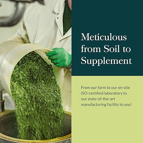 Miniatura 8 de Gaia Herbs Saw Palmetto - Apoya la función saludable de la próstata y la salud urinaria - Saw Palmetto y lecitina de semillas de girasol para apoyar