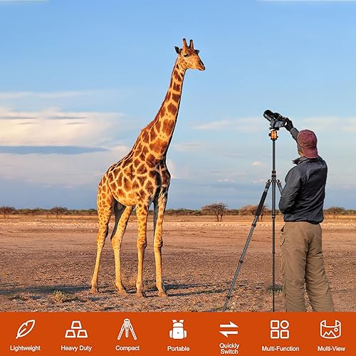 Miniatura 4 de Trípode resistente de 8085 pulgadas para cámara y teléfono, trípode monopie de cámara de 85 pulgadas, binoculares DSLR, videocámaras de alcance de