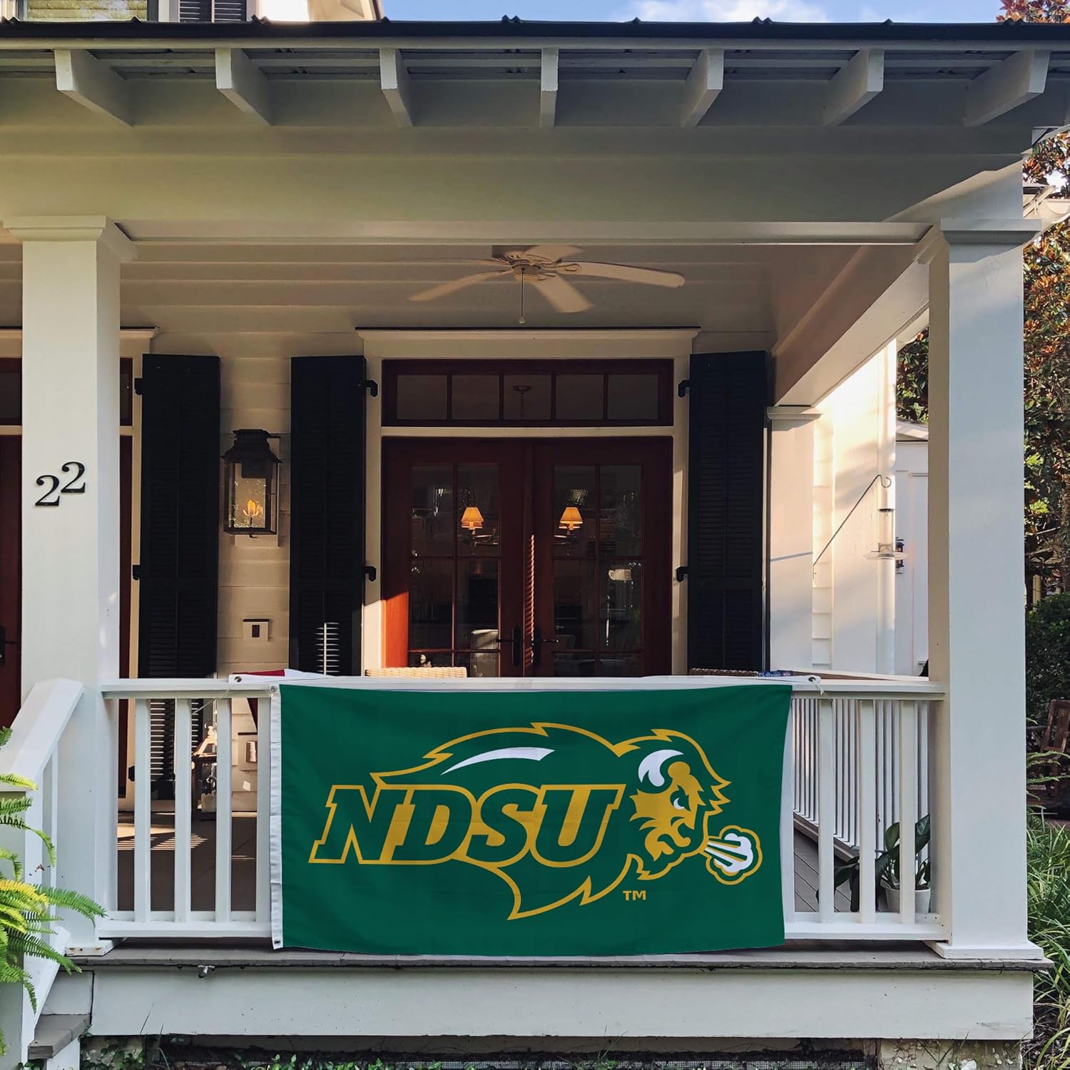 Desert Cactus North Dakota State University NDSU Flag - 3 x 5 Feet Bison Banner, Indoor/Outdoor Durable Fabric, 100% Polyester Design (Style 1) - Image 5