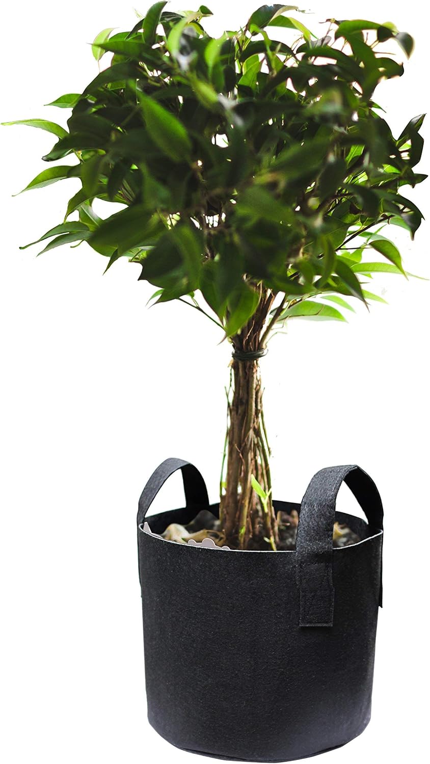 Gardzen 10-Pack 25 Gallon Grow Bags, Aeration Fabric Pots with Handles : Everything Else