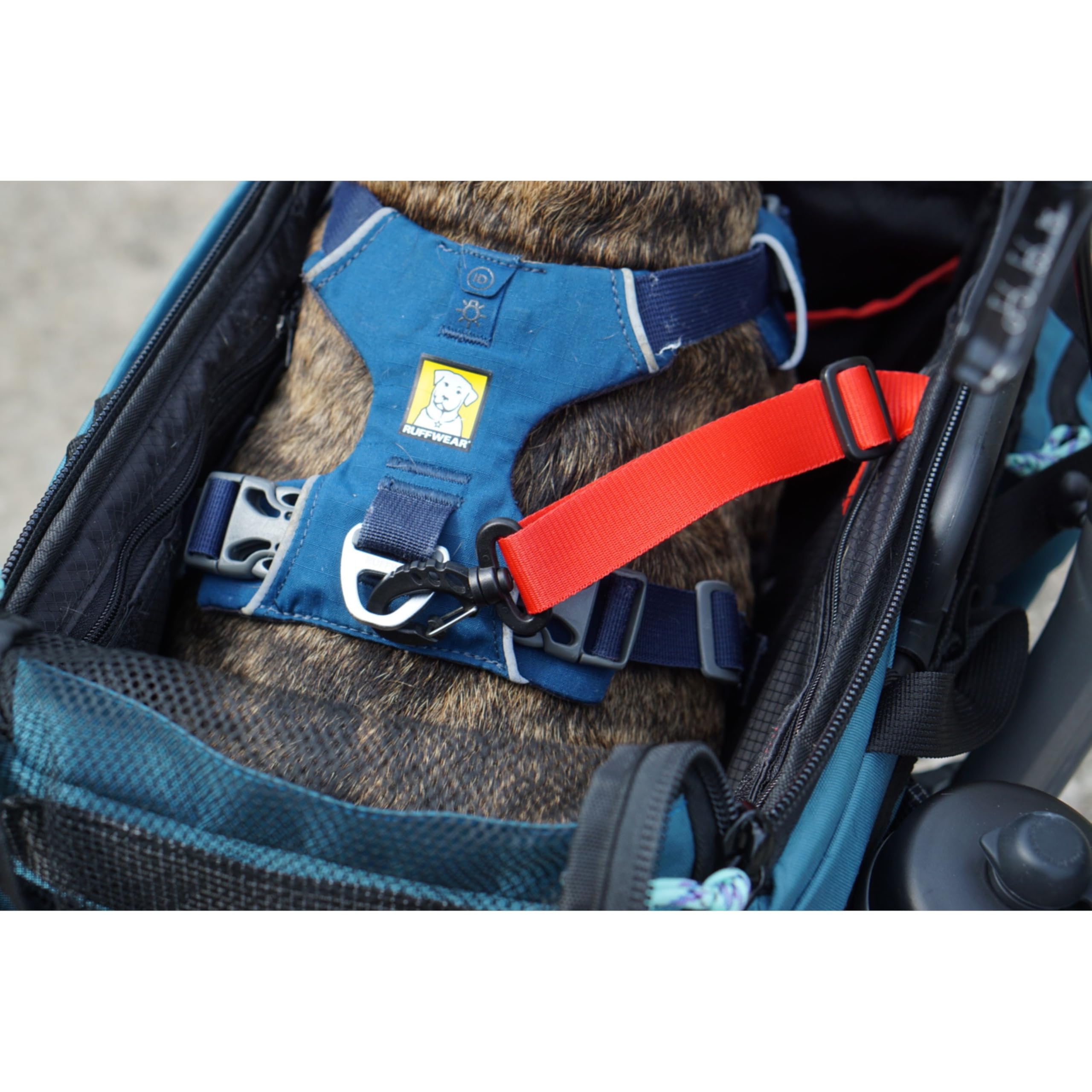 Vincita Caddy - Cesta para mascotas para bicicleta Brompton - Transportador cómodo y seguro con marco de aluminio, cubierta de malla, correa ajustable y bolsillos laterales. Compatible con el bloque