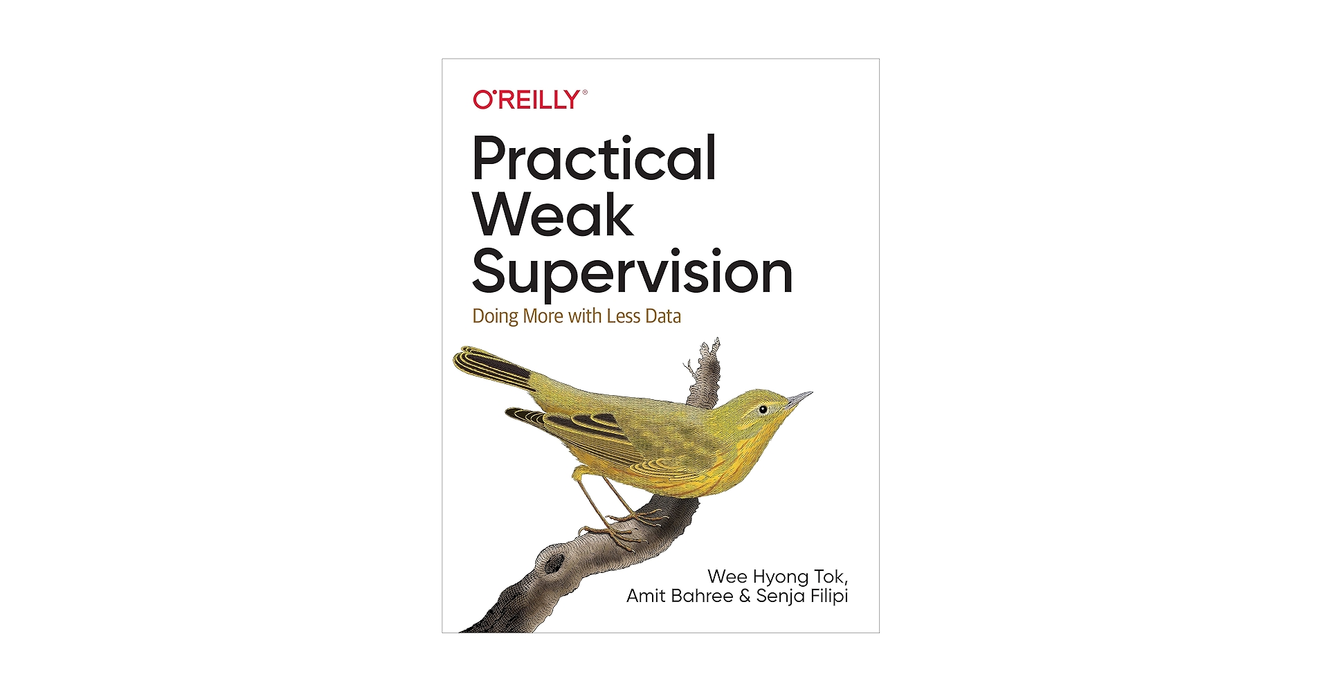 Amazon.com: Practical Weak Supervision: Doing More with Less