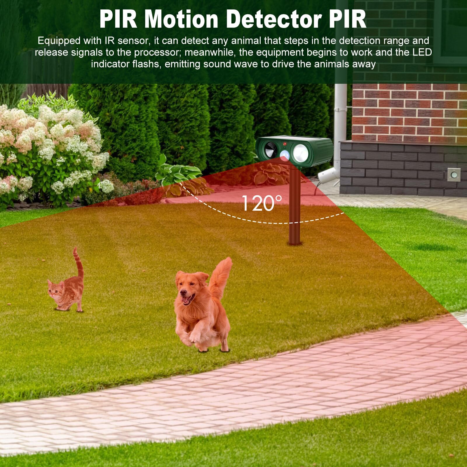 Repelente de Gatos, Ahuyentador para Gatos Ultrasonido Repelente, Disuasión Solar con LED Intermitente, Resistente al Agua IPX4 para Exteriores, Repele Eficazmente Gatos, Perros, Pájaros, Topos