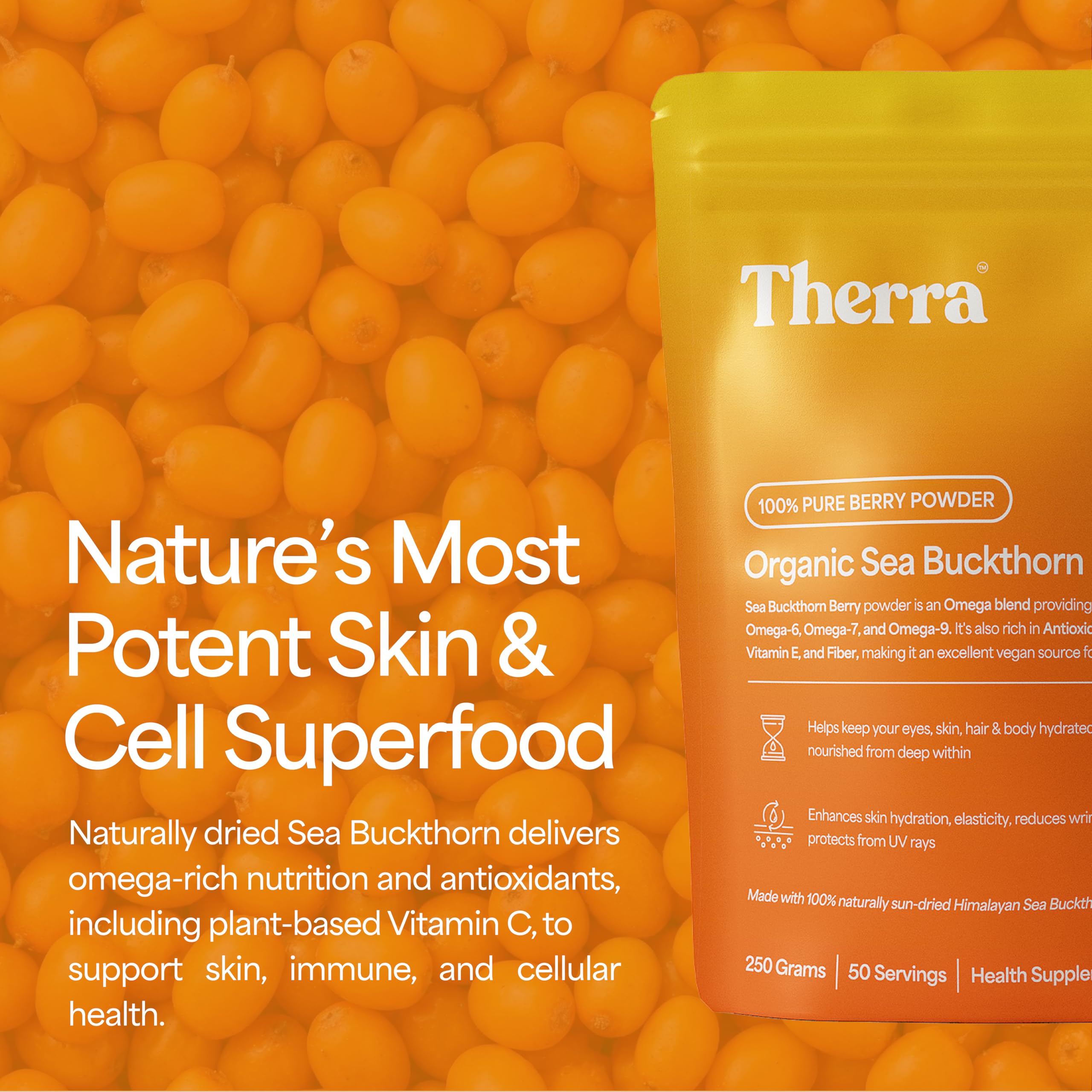 Therra Sea Buckthorn Powder - 250g | 100% Pure & Organic Sea-Buckthorn | Natural Immunity Booster with Omega 3-6-7-9 | Strong Antioxidant for Skin Glow, Gut & Heart Health | Rich in Vitamins, Fiber & Phytonutrients | Naturally Dried — Amazon image 2