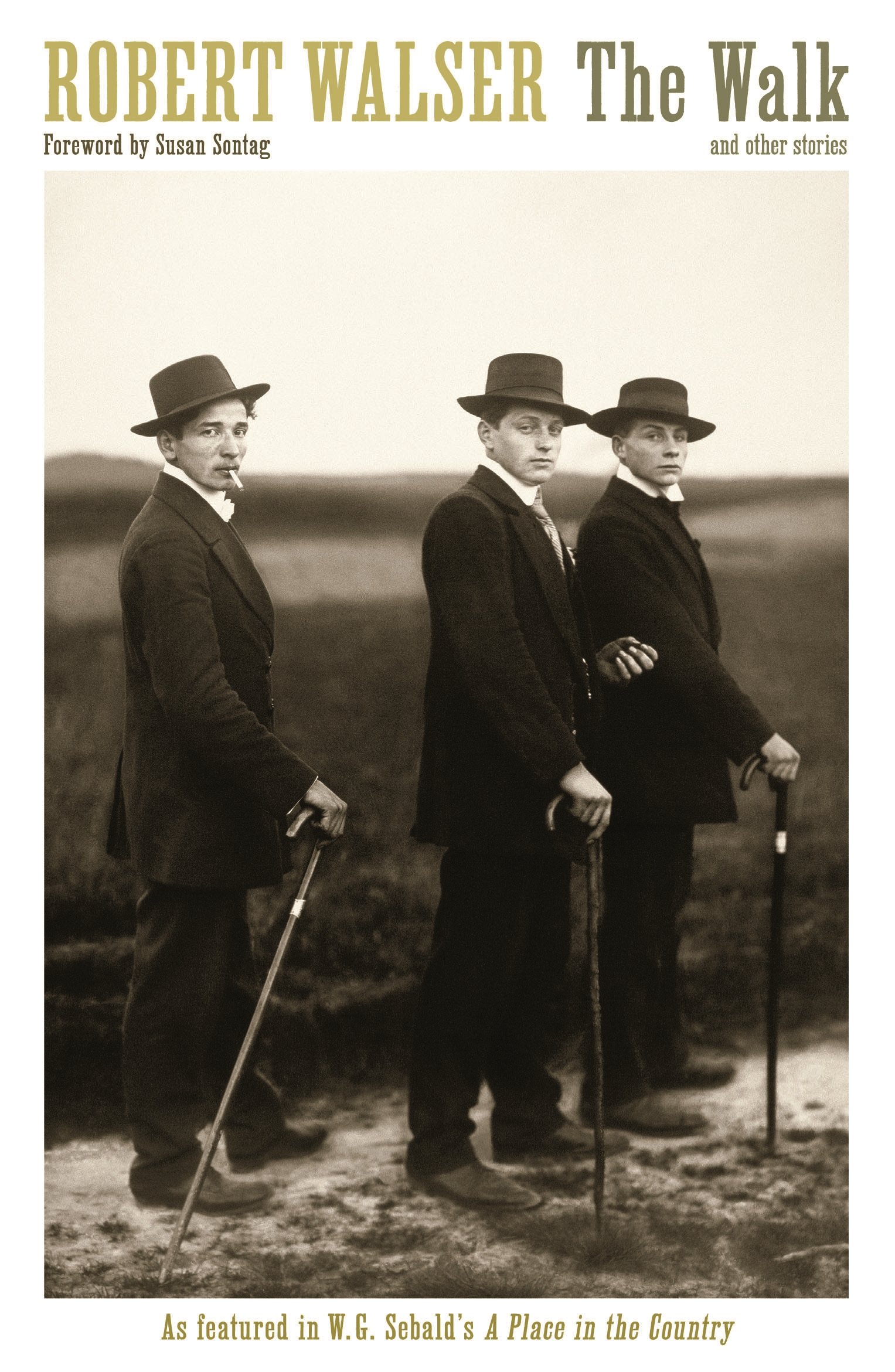 The Walk by Robert Walser (Paperback Book)