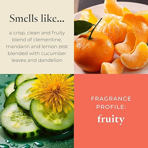 Miniatura 2 de PartyLite Juego de 12 velas de té, aroma a pepino y clementina, juego de regalo de velas perfumadas de aromaterapia, hasta 4 a 6 horas de tiempo de