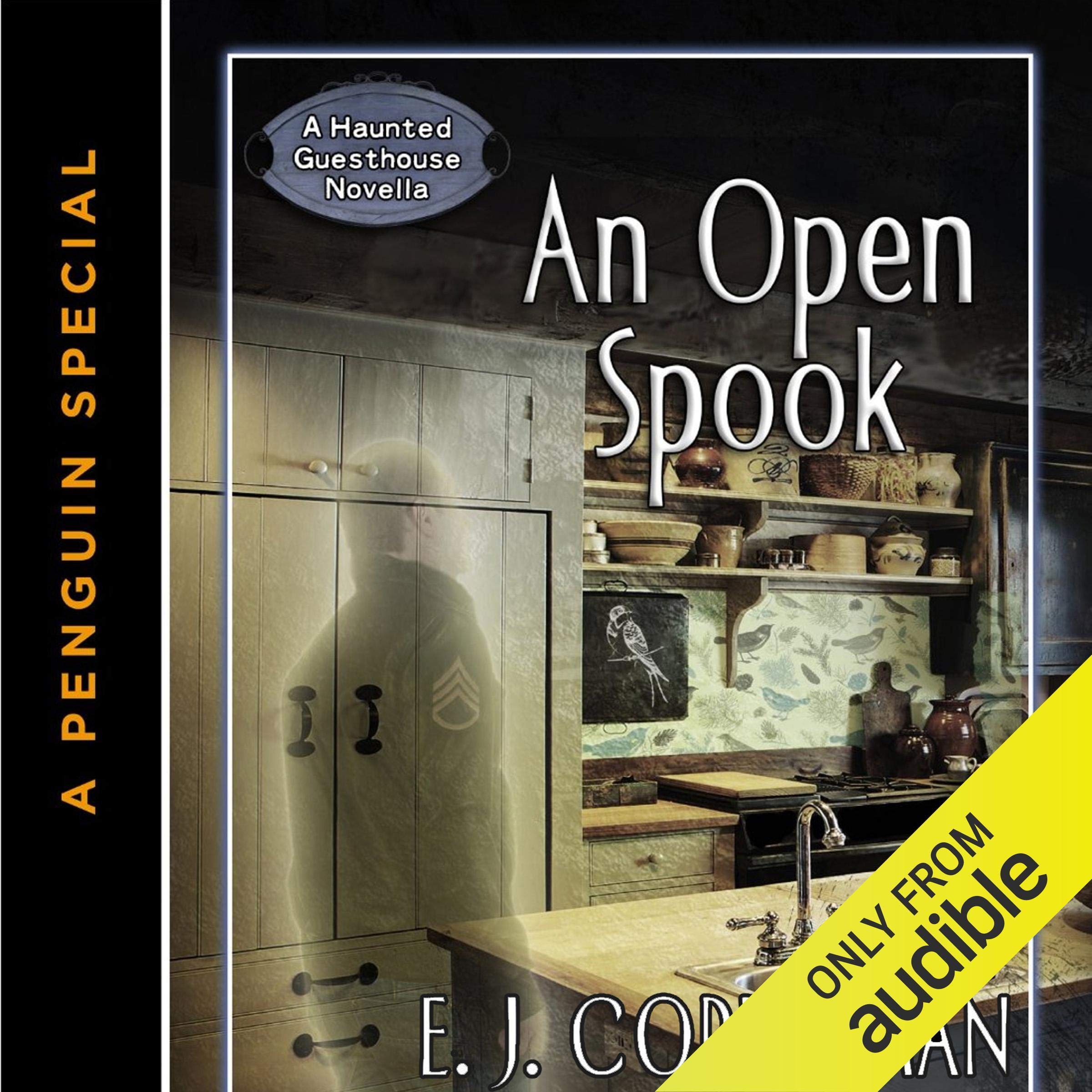 Cover art for An Open Spook