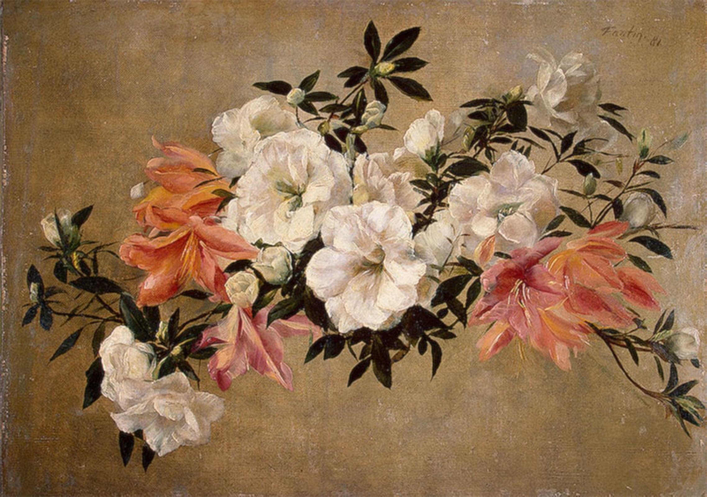 HRJUBWREE Famous Paintings Pictures Artwork Picture Petunias Henri Fantin-Latour Photo Wall Print for Office Decor 60x90cm