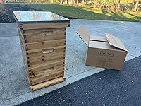 Review Image by Kelsea Downs Kelsea Downs